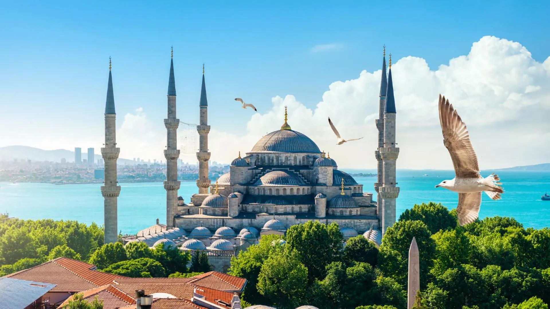 Nearby landmark in Istanbul Old City Sultanahmed Miran Hotel