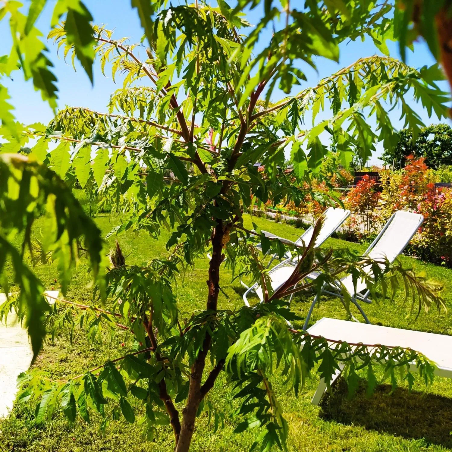 Garden in Residence Gonda&Giuliano