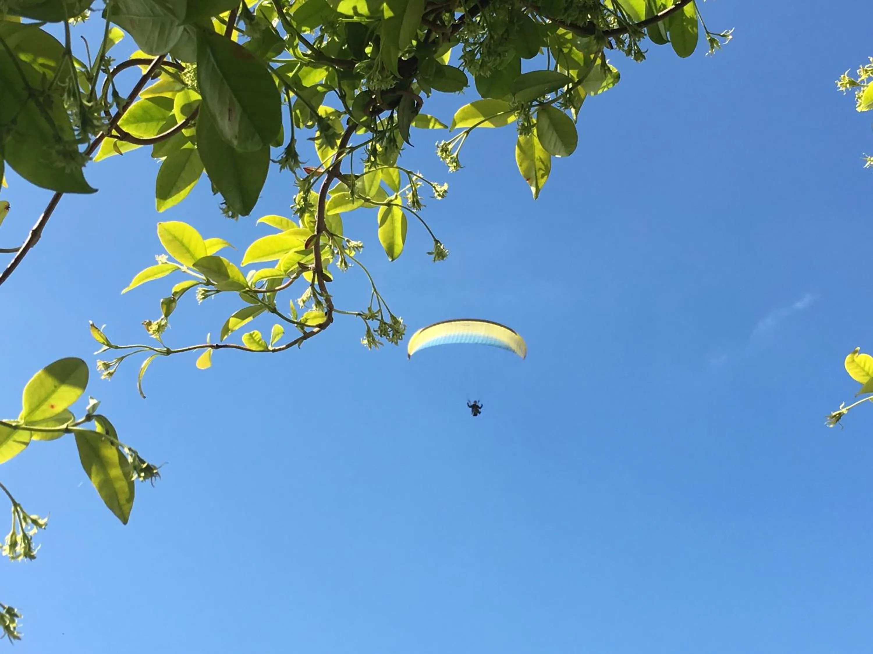 Activities in Residence Gonda&Giuliano