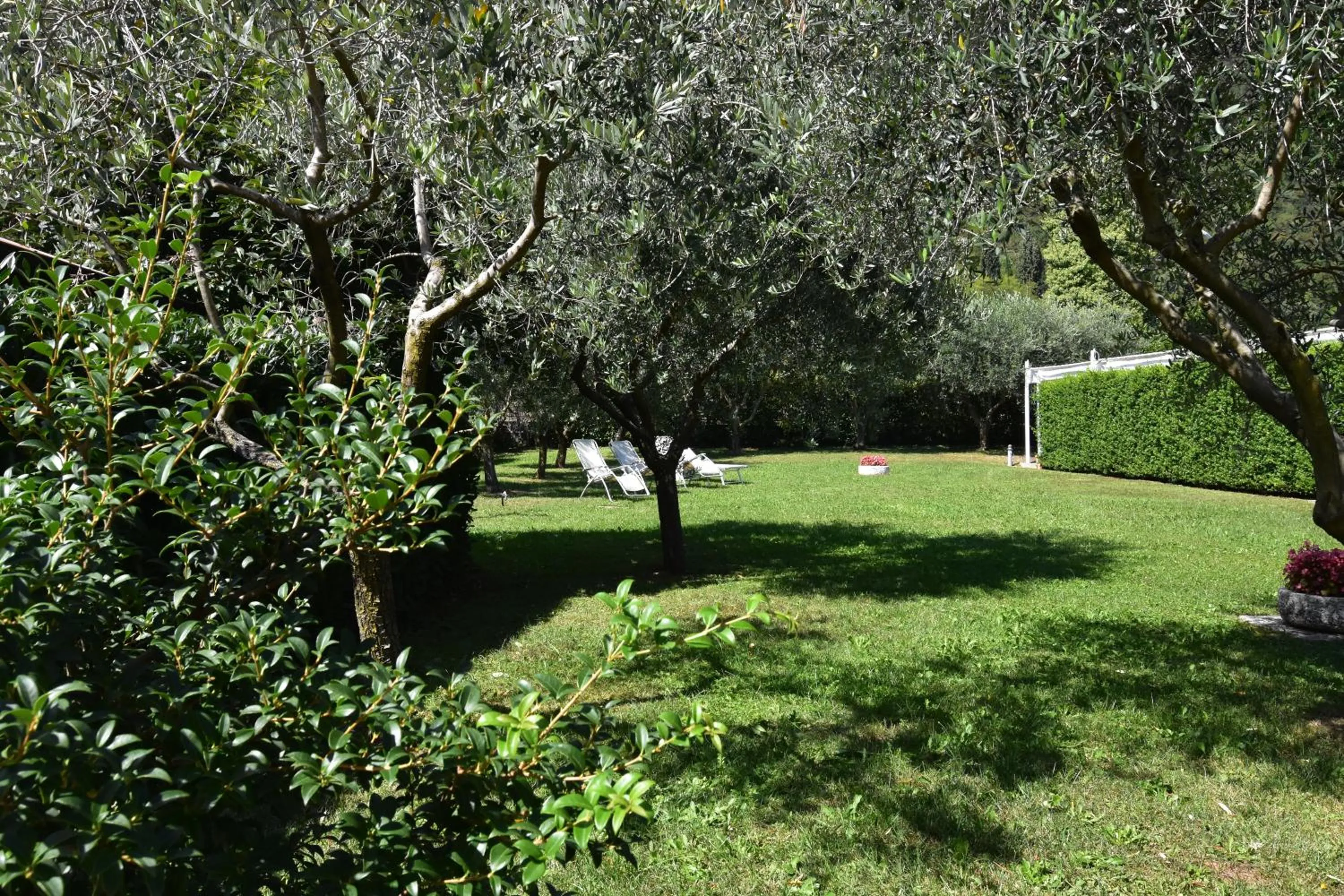 Solarium in Residence Gonda&Giuliano