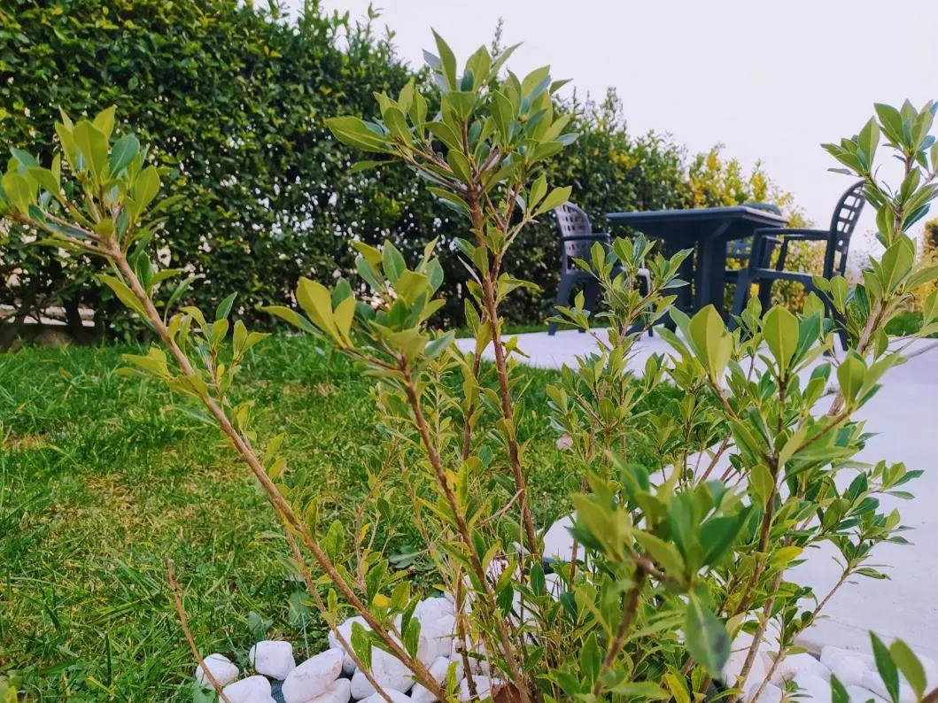 Residence Gonda&Giuliano