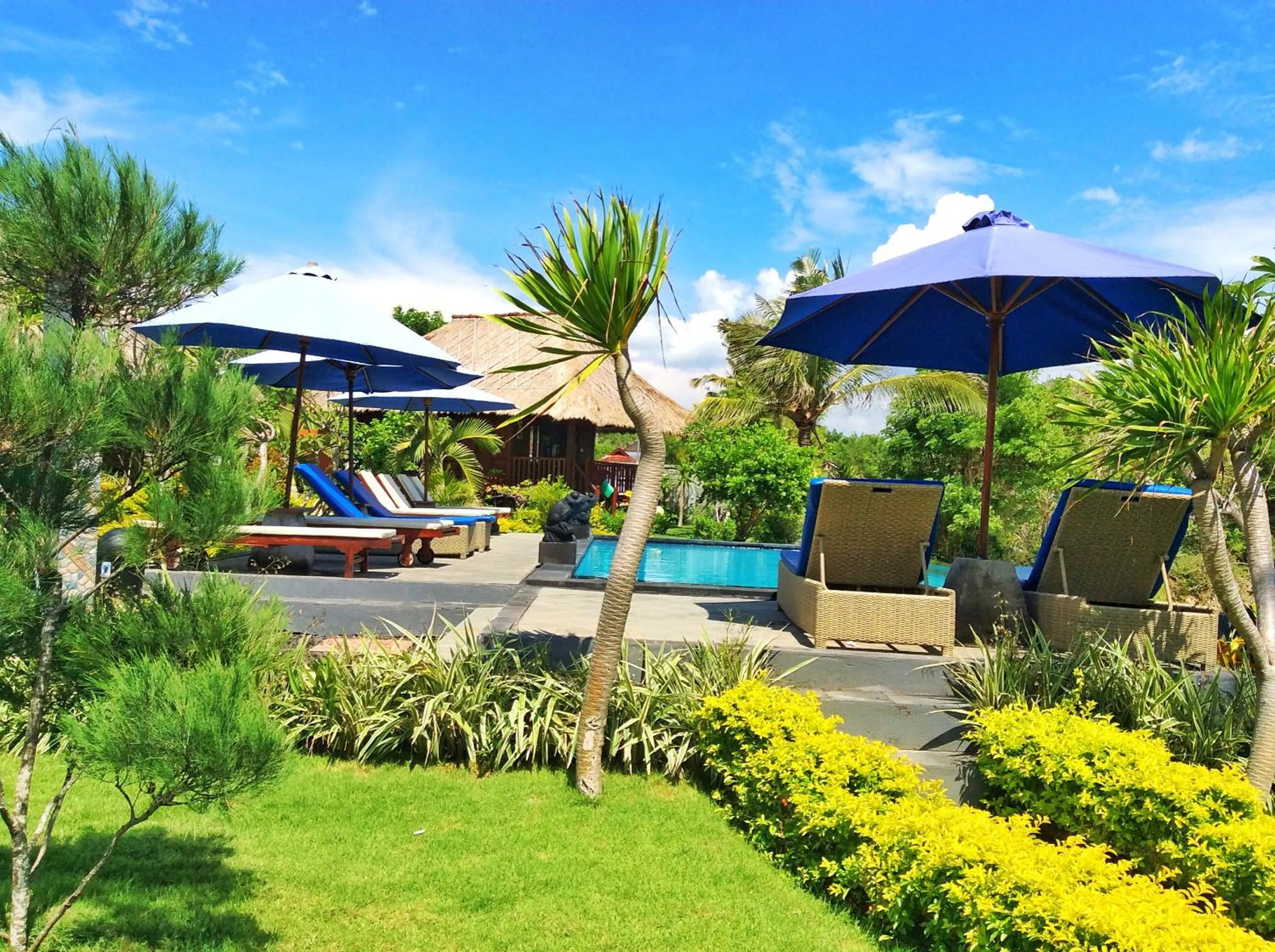 Swimming pool in Laguna Reef Huts
