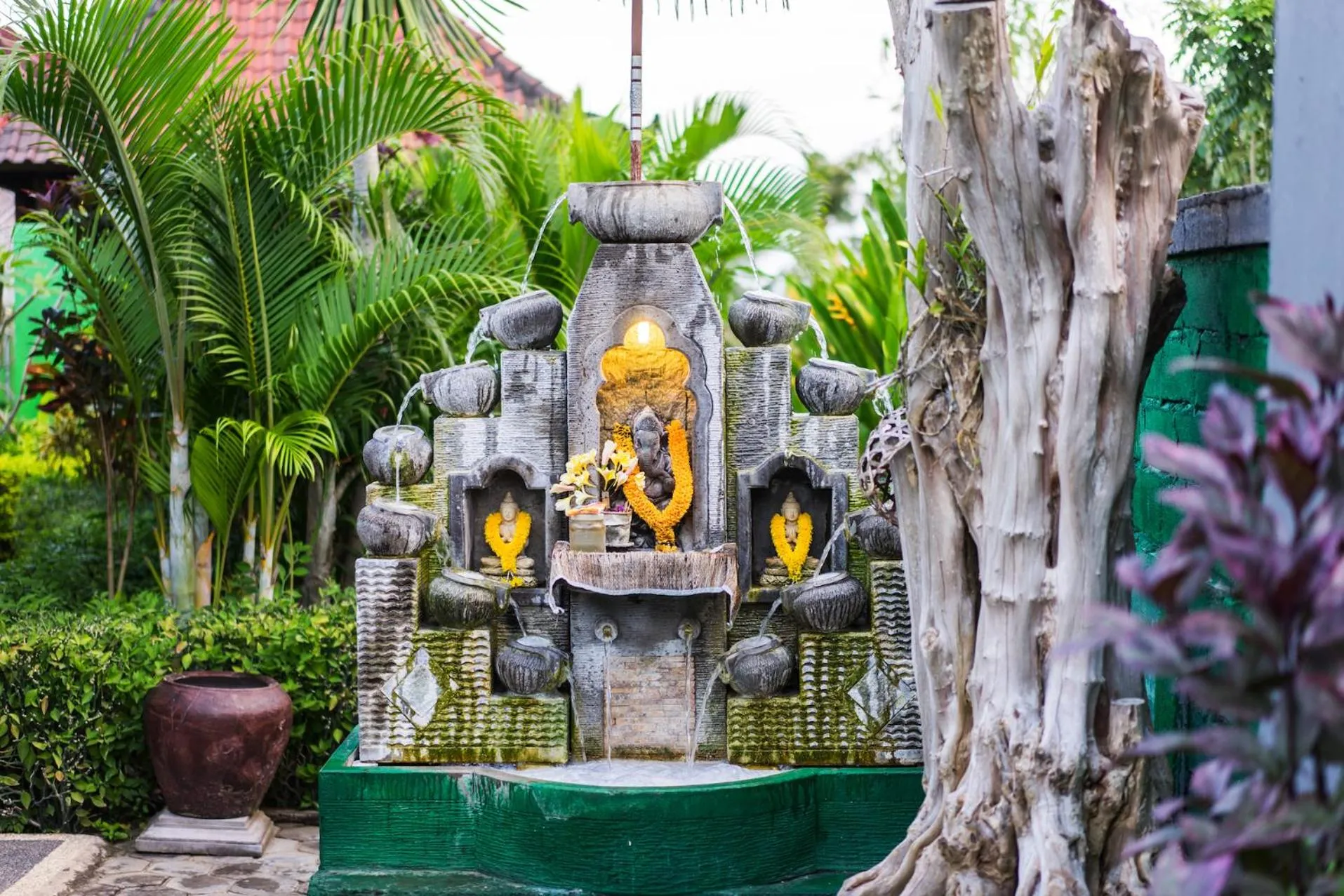 Property building in Laguna Reef Huts