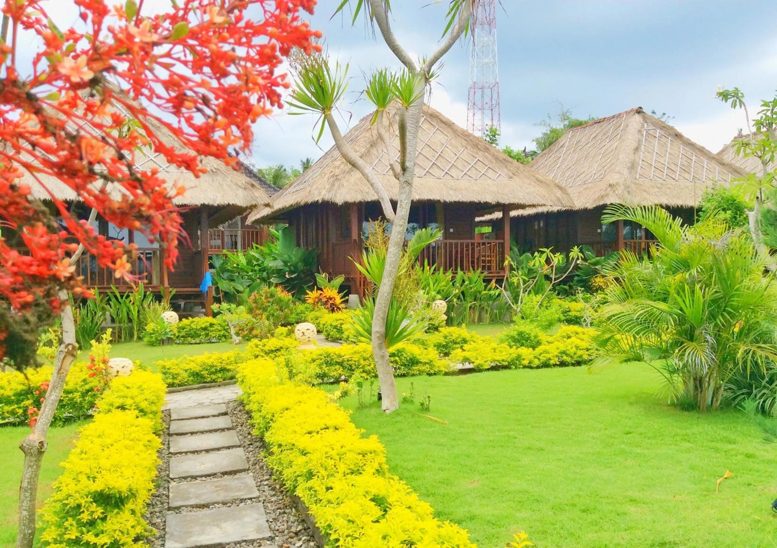 Garden in Laguna Reef Huts