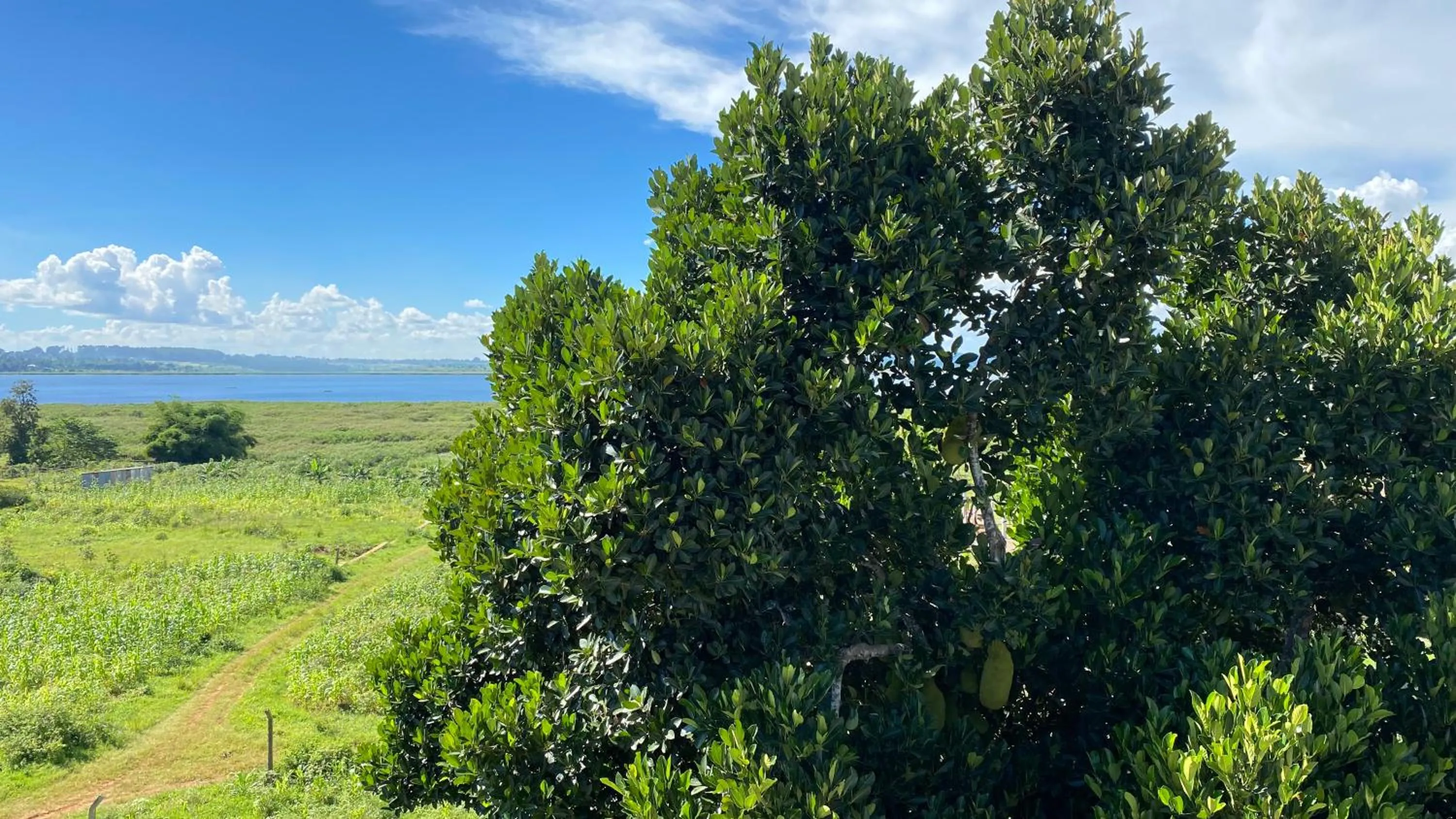 Natural landscape in Nimaro Courts
