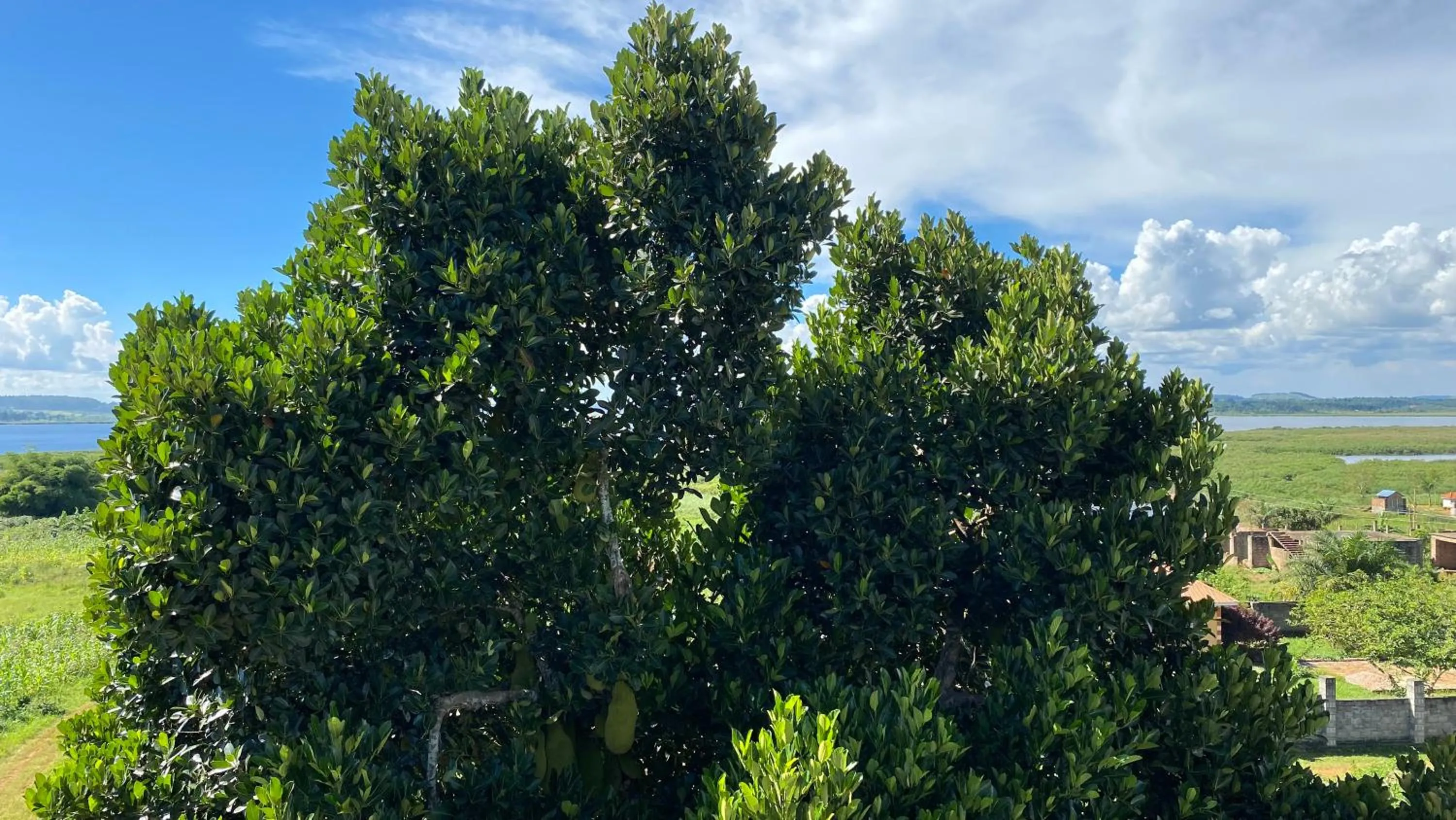 Natural landscape in Nimaro Courts