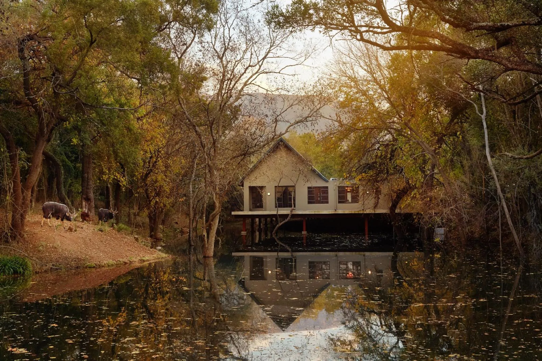 Property building in First Group Magalies Park