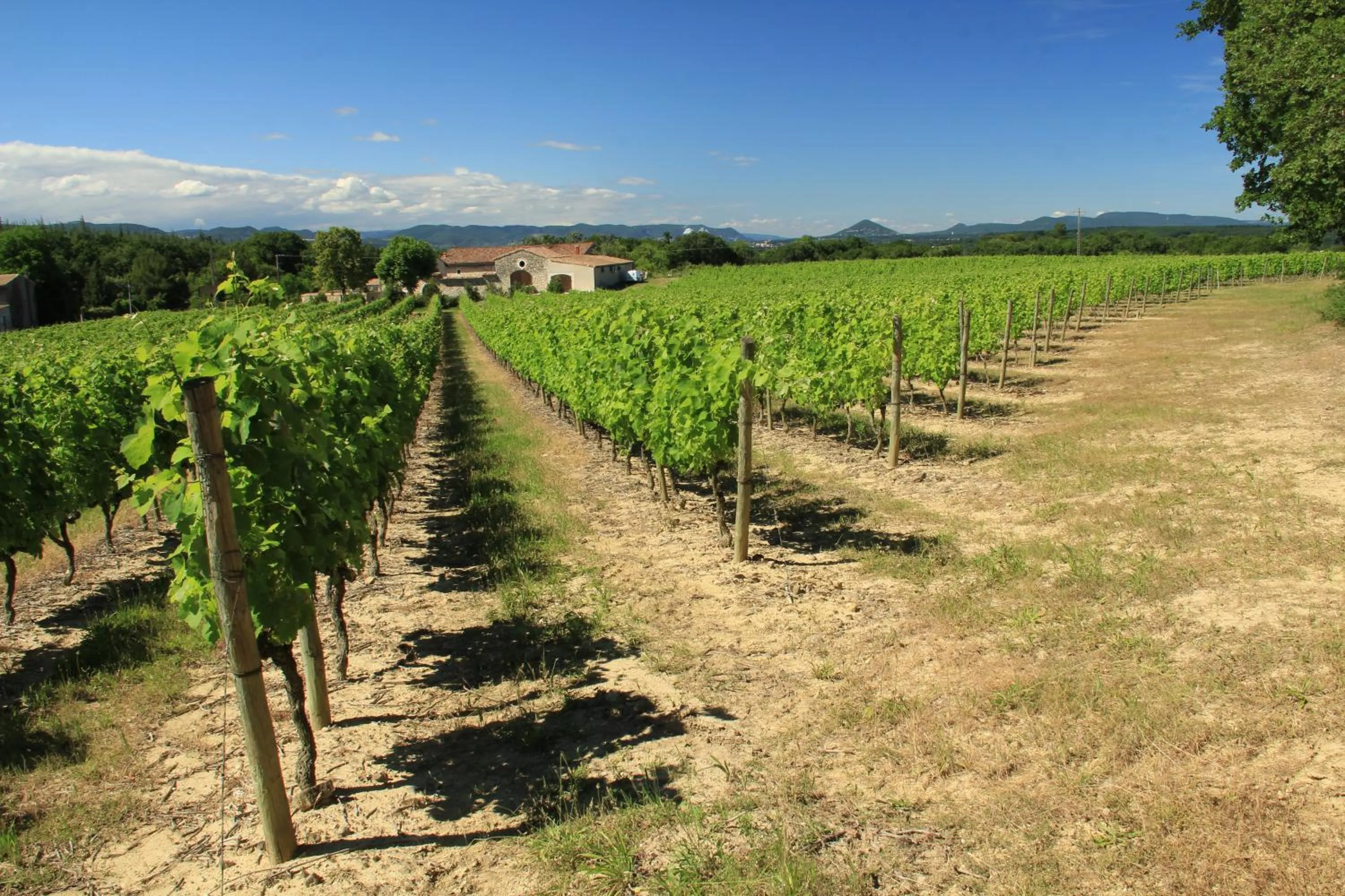 View (from property/room) in Le Trésor des Templiers