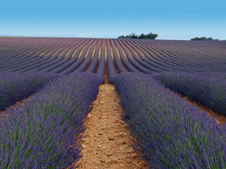 Le Trésor des Templiers