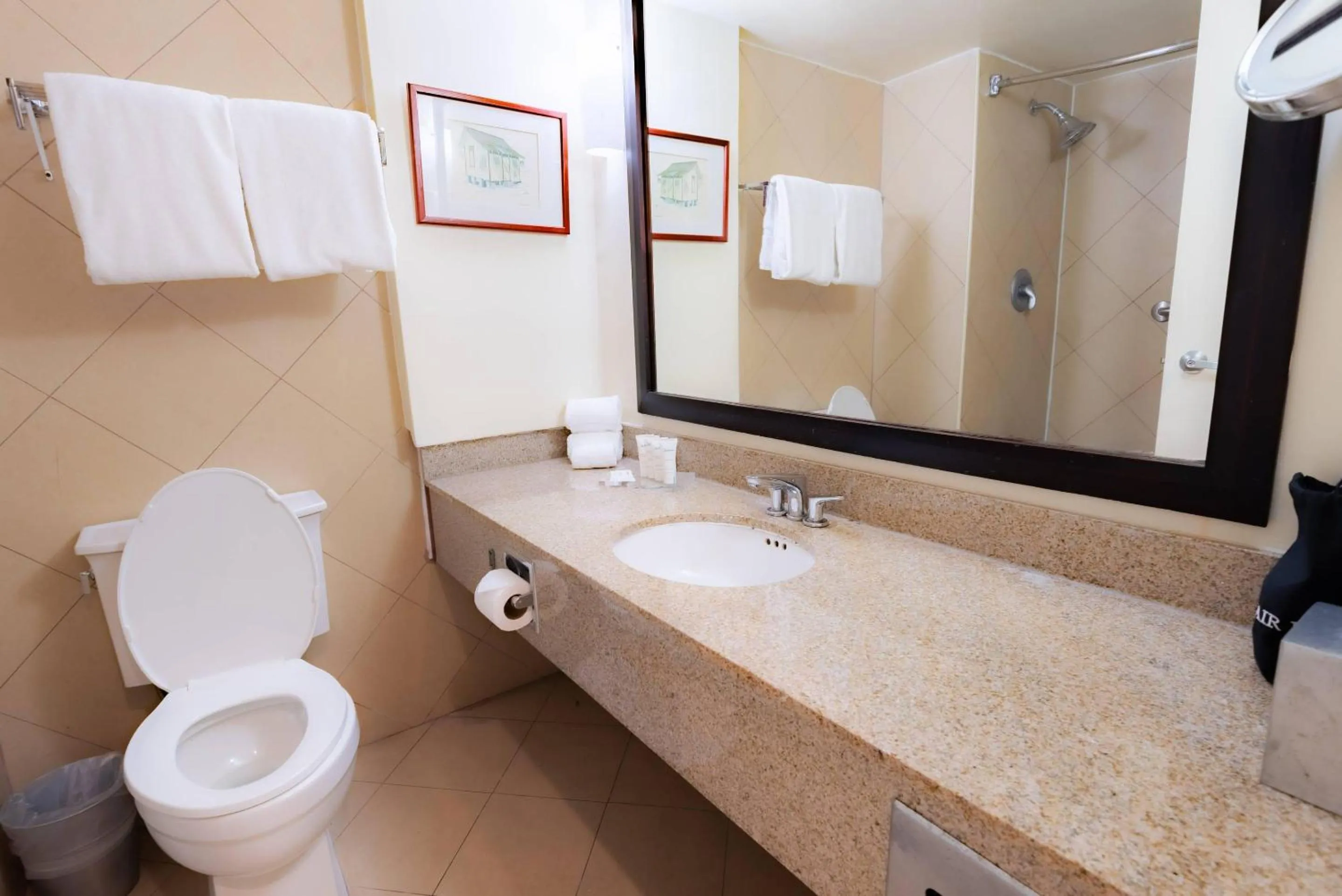 Bedroom in Radisson Hotel Trinidad