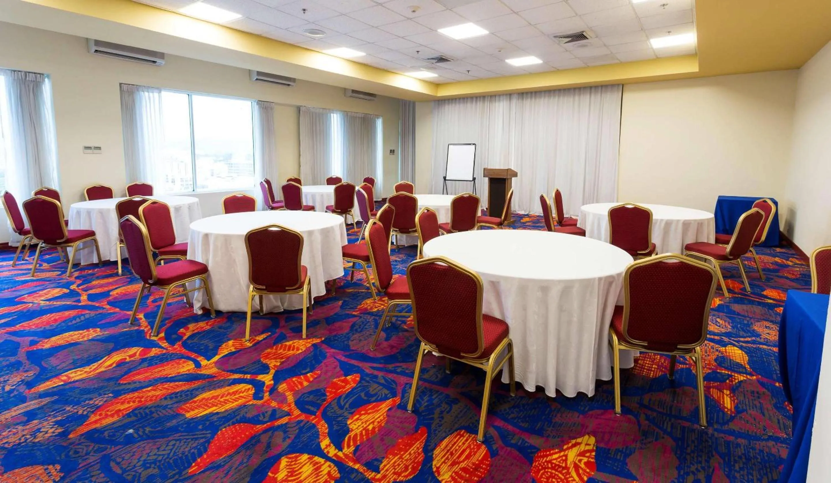 Meeting/conference room in Radisson Hotel Trinidad