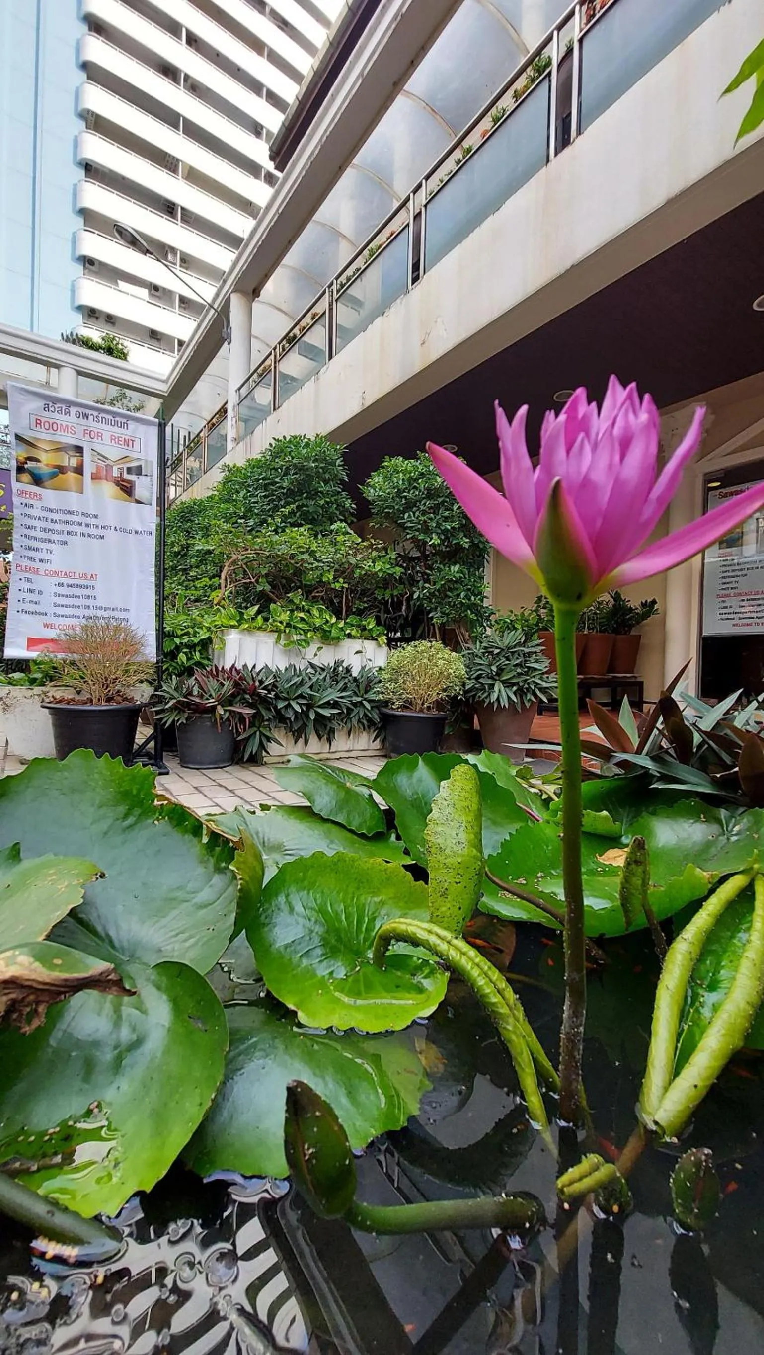 Day in Sawasdee Apartment Patong