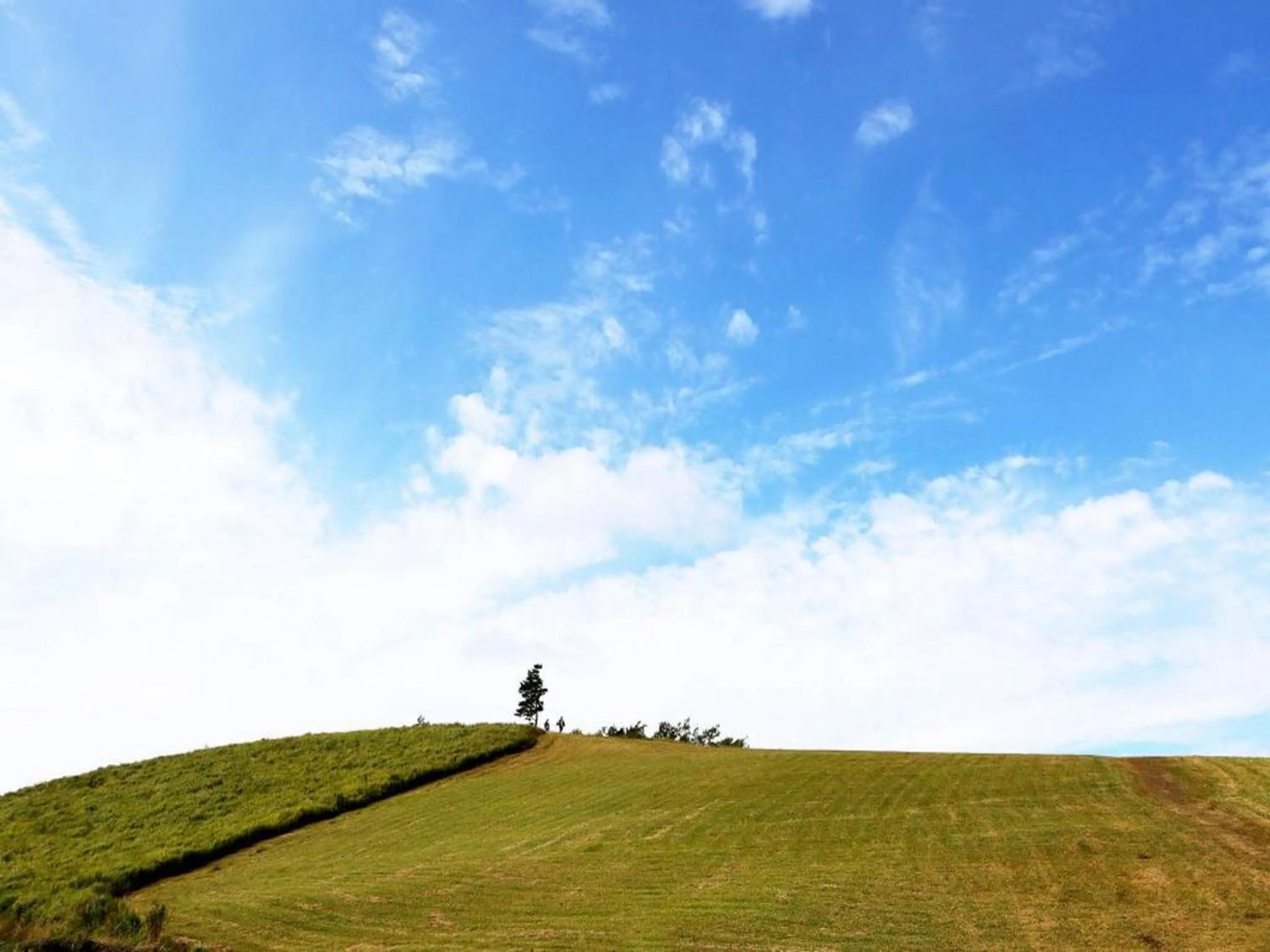 Nearby landmark in Grids Premium Hotel Kumamoto