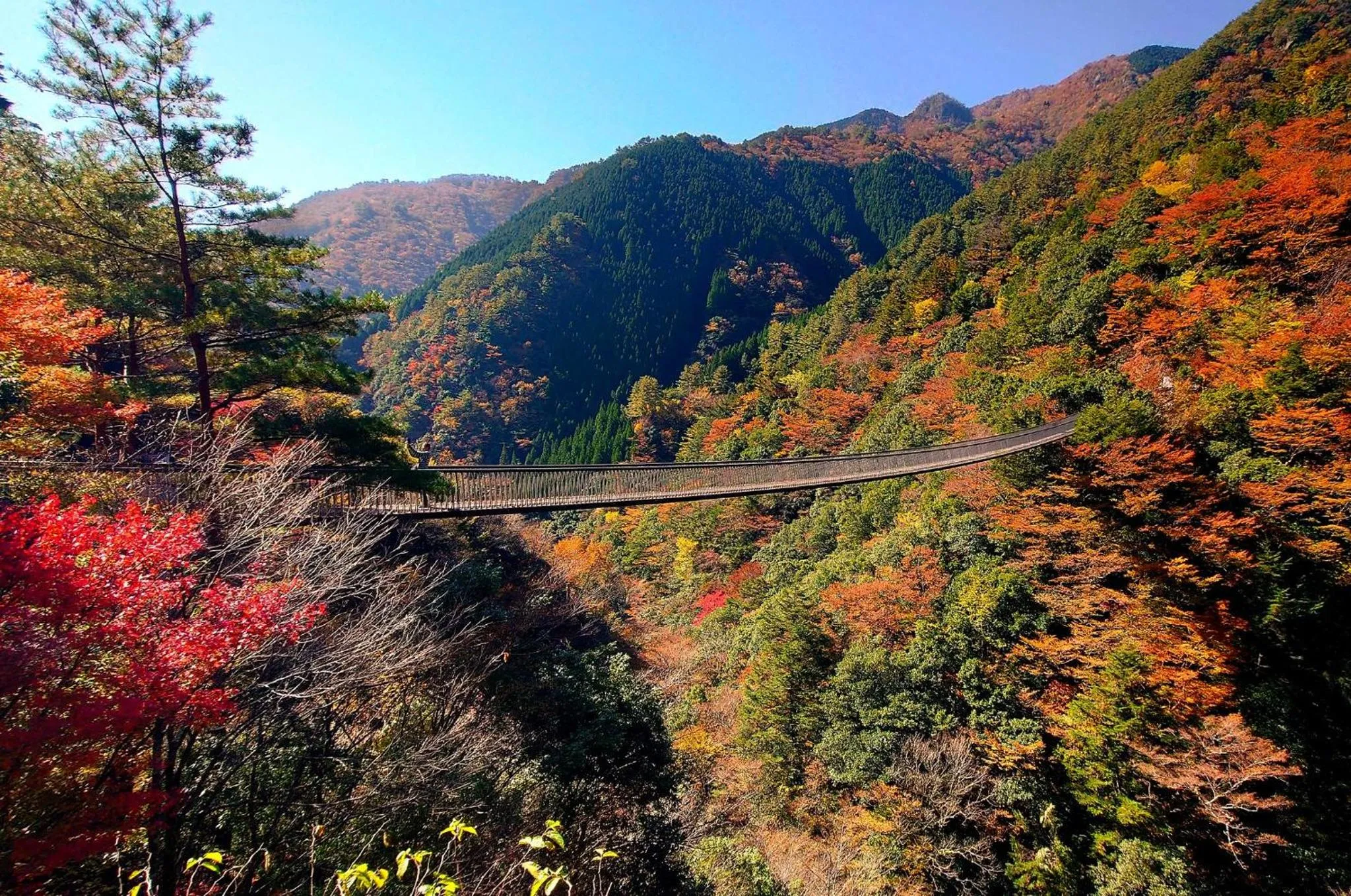 Nearby landmark in Grids Premium Hotel Kumamoto