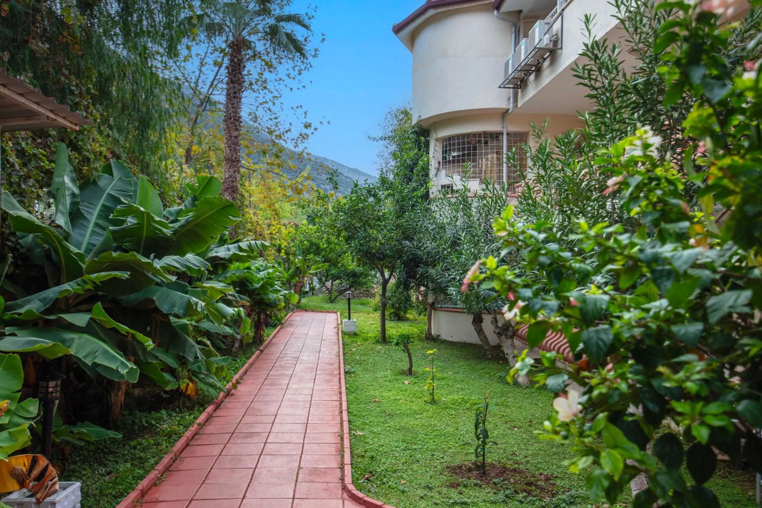 Garden view in Ölüdeniz Turquoise Hotel - All Inclusive