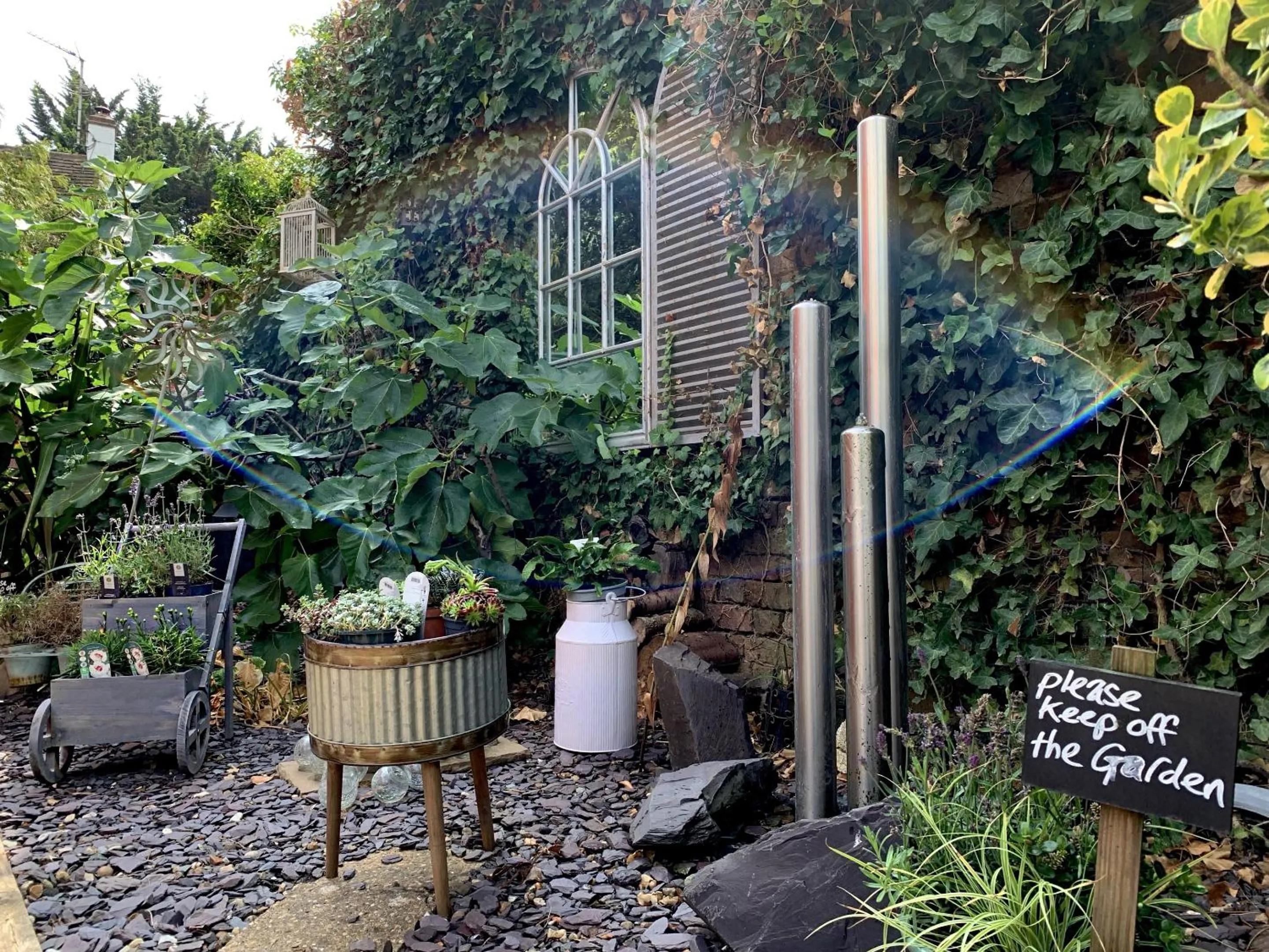 Garden in The Blue Anchor