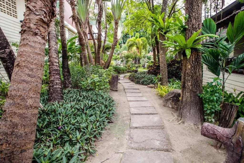 Phi Phi Banyan Villa