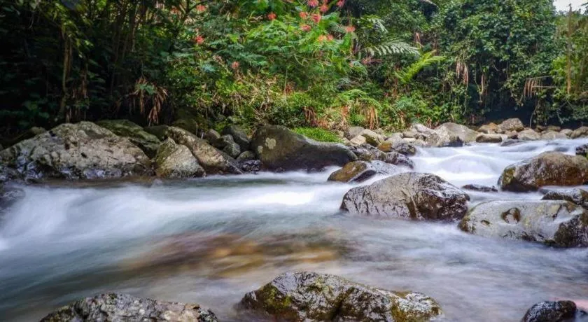 Rizen Premiere Hotel