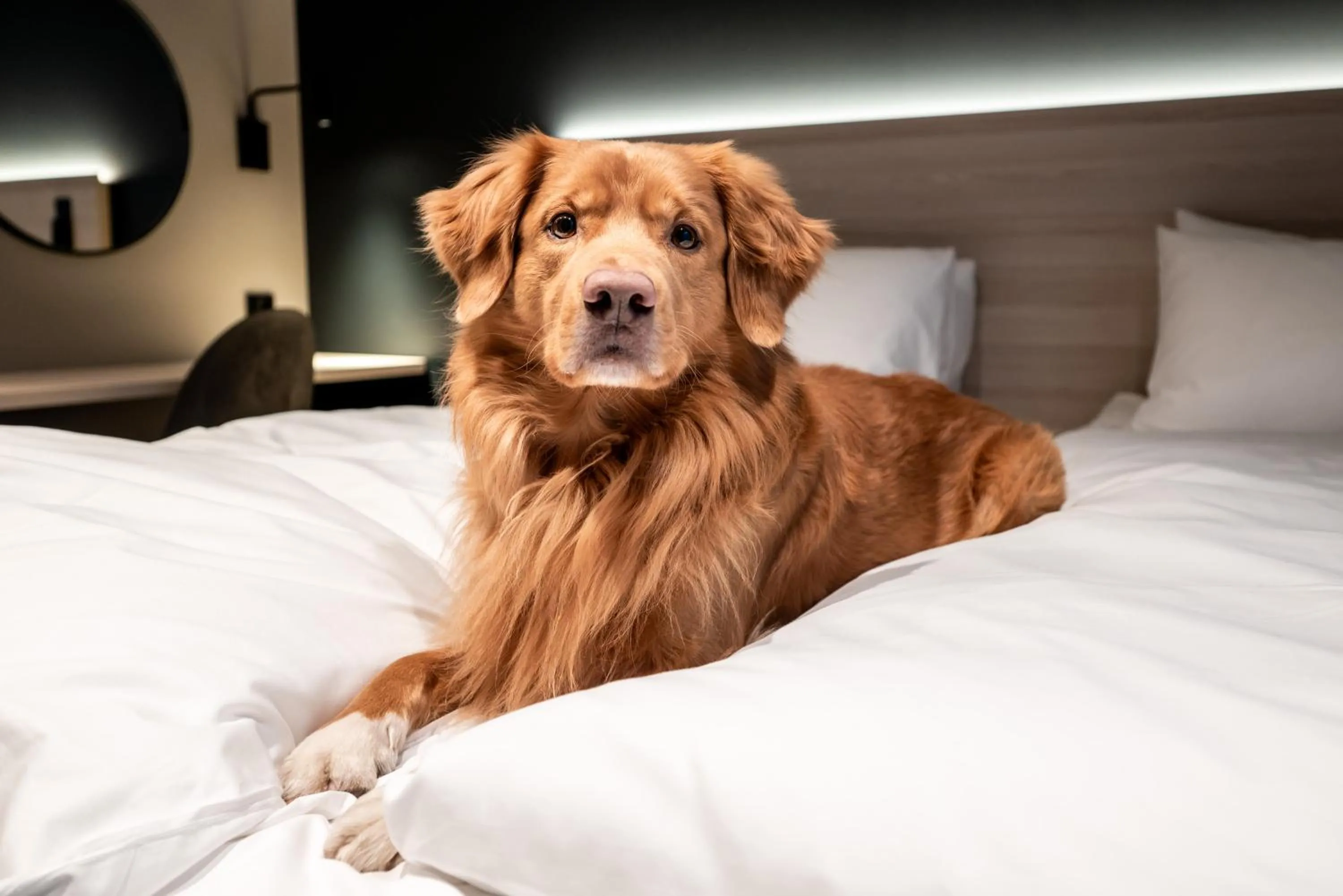 Bed in Citybox Helsinki