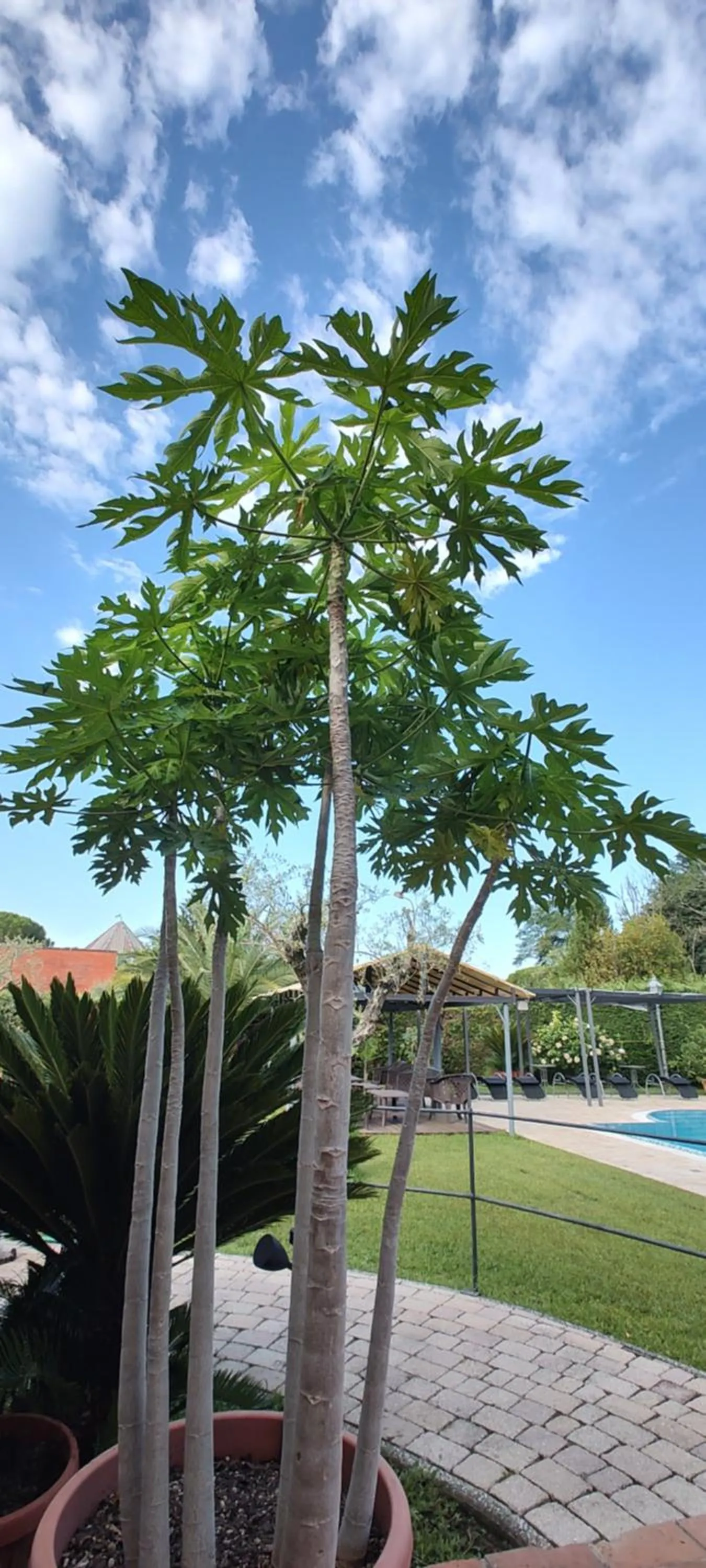Natural landscape in Albergo la Luna