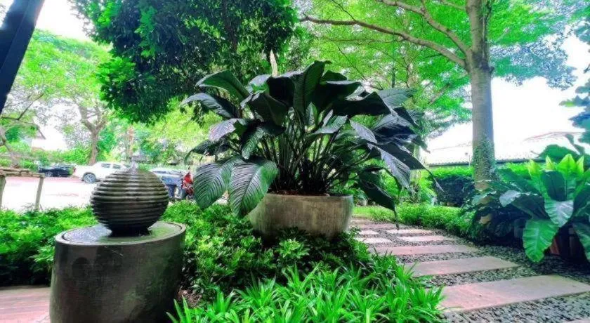 Gasser Park & Residence