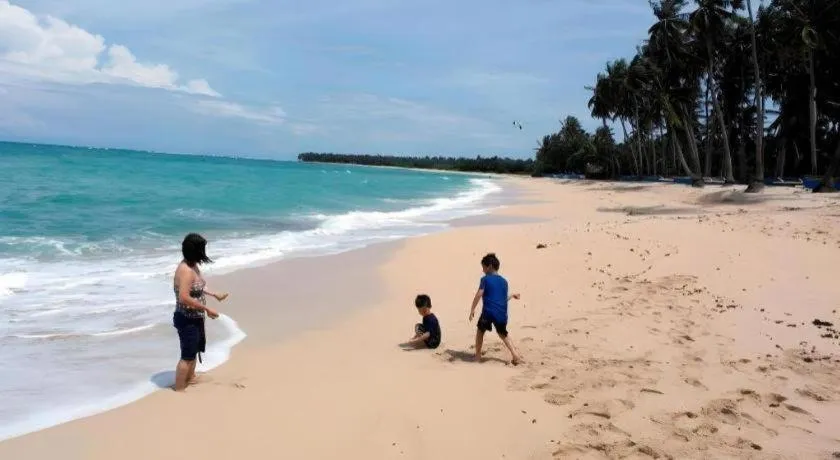 Palm Grove Saud Holiday Complex Hotel