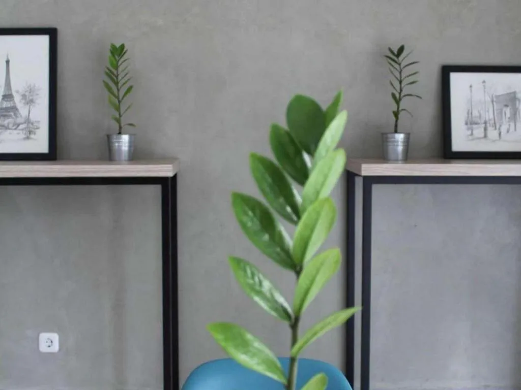 Casa Living Setiabudi Jakarta