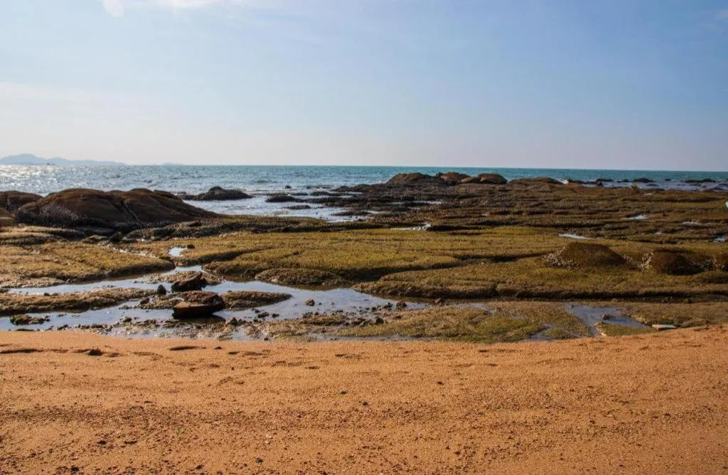 Sleep with me Pattaya