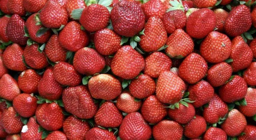 Travelite Express Hotel