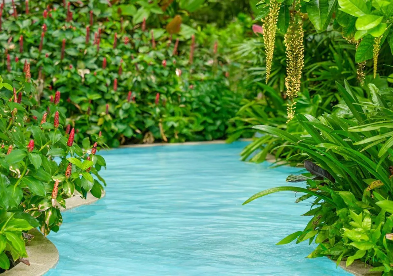 Swimming pool in Laya Resort Phuket