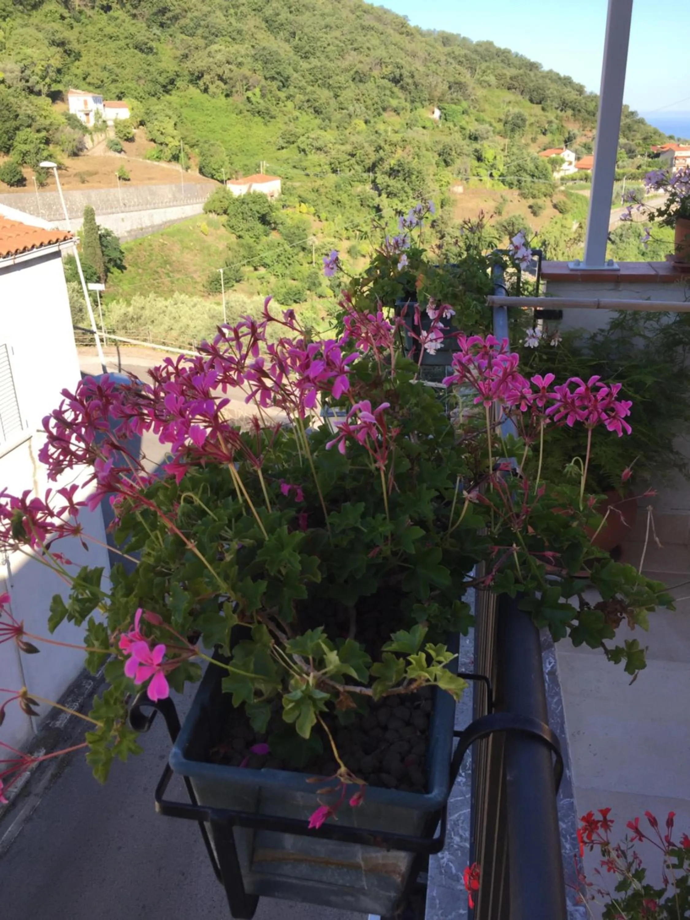 Decorative detail in La Via del Carretto B&B