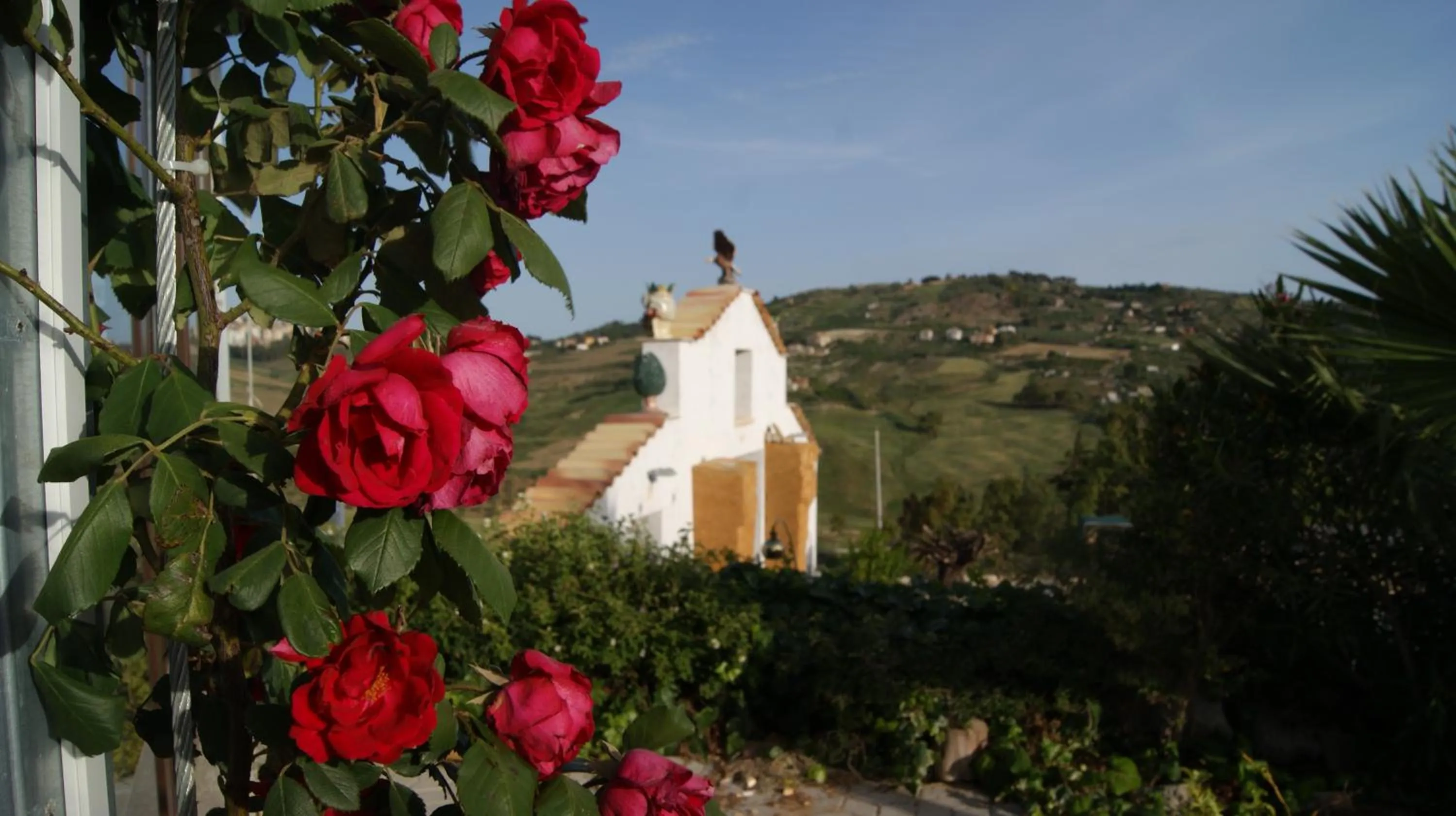 Mountain view in B&B Eyexei Domus