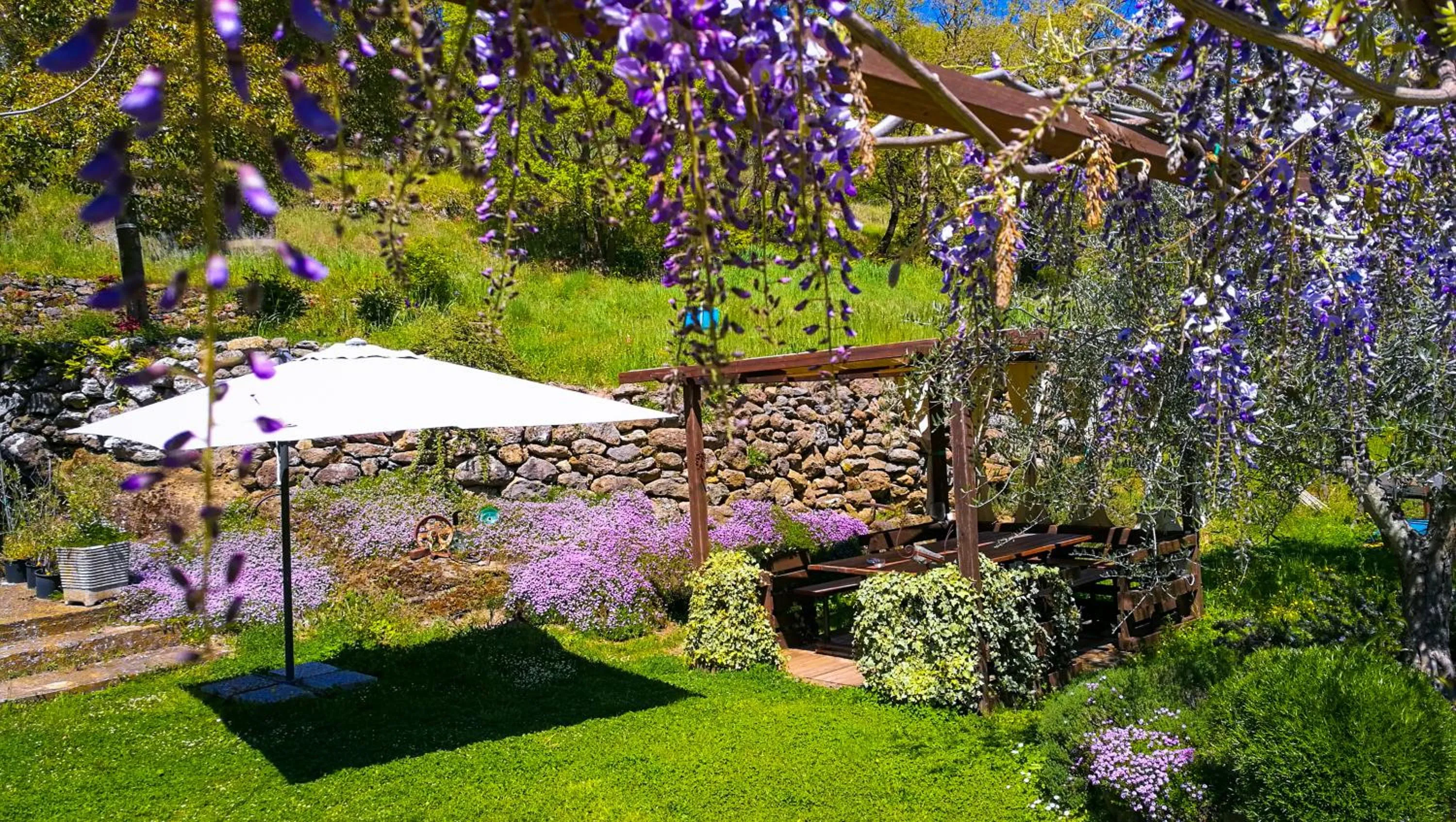 Garden in Podere Pontepietra