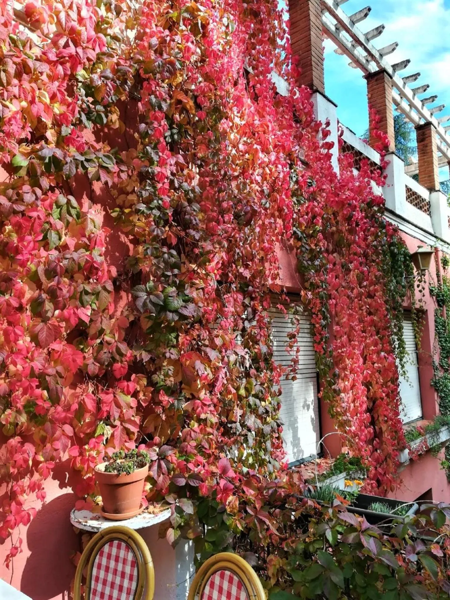 Garden in Hostal Montsoliu
