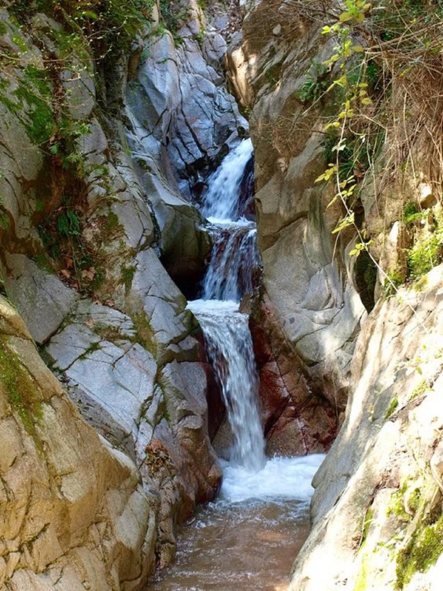 Activities in Hostal Montsoliu