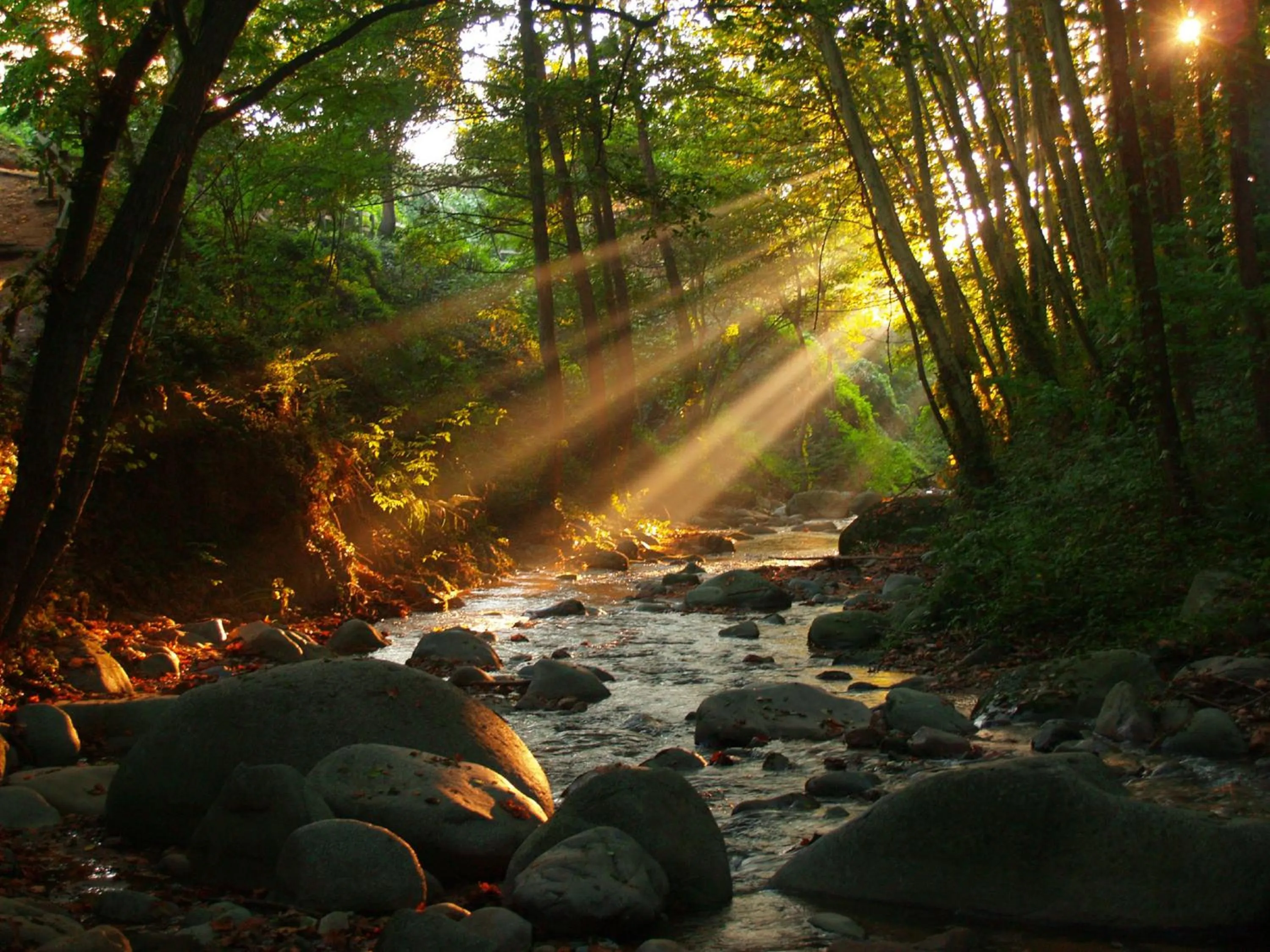 Natural landscape in Hostal Montsoliu
