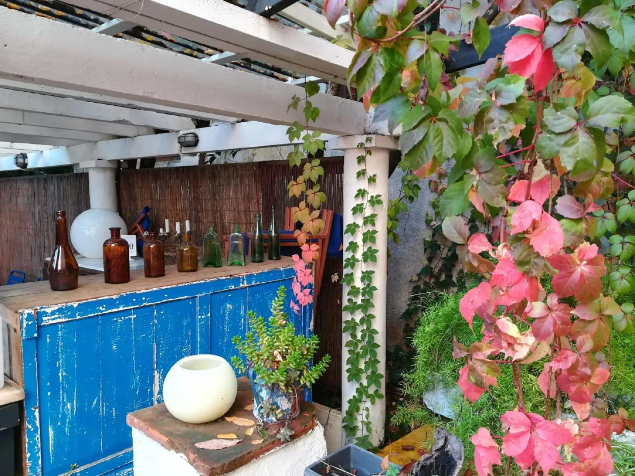 Garden in Hostal Montsoliu