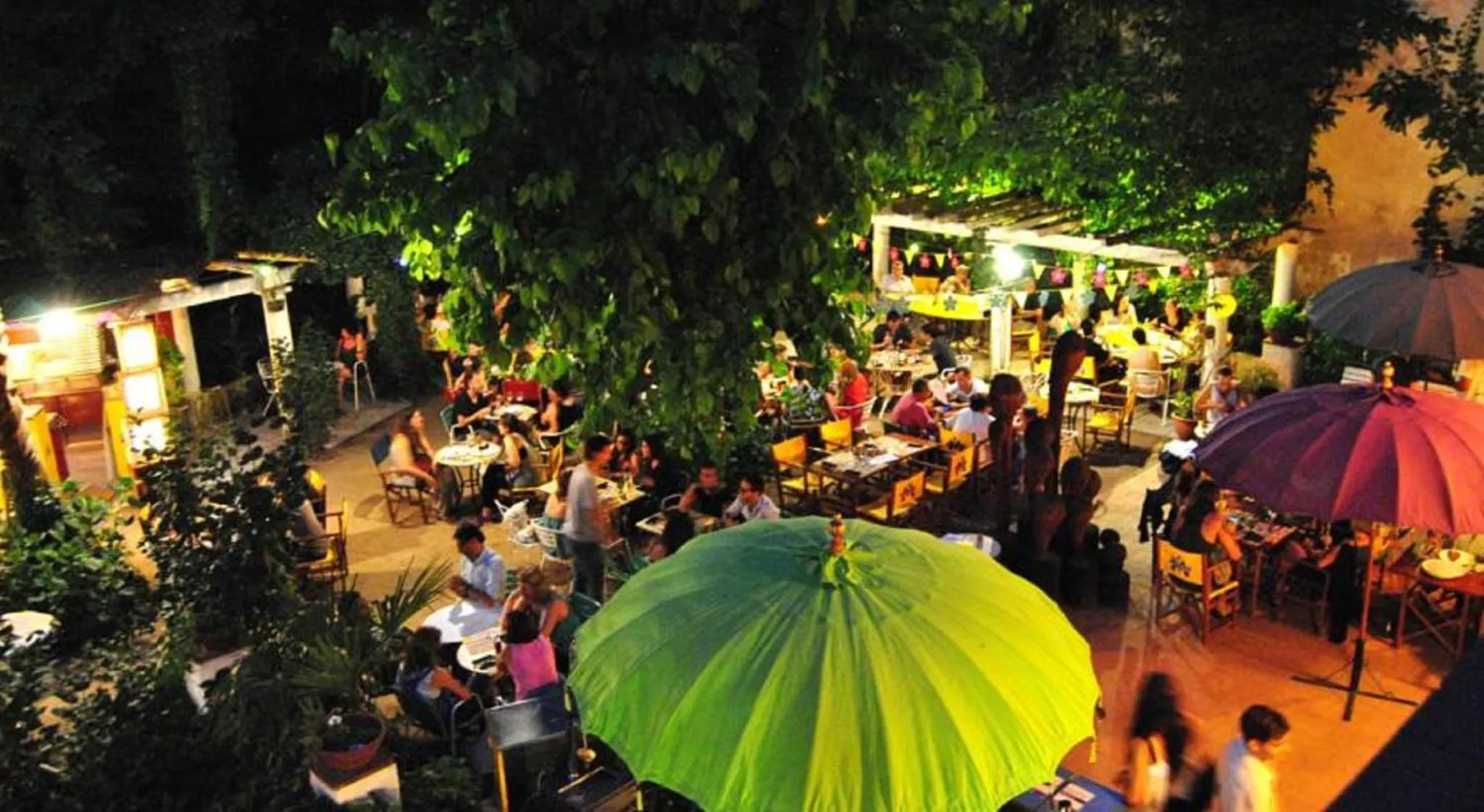 Garden in Hostal Montsoliu