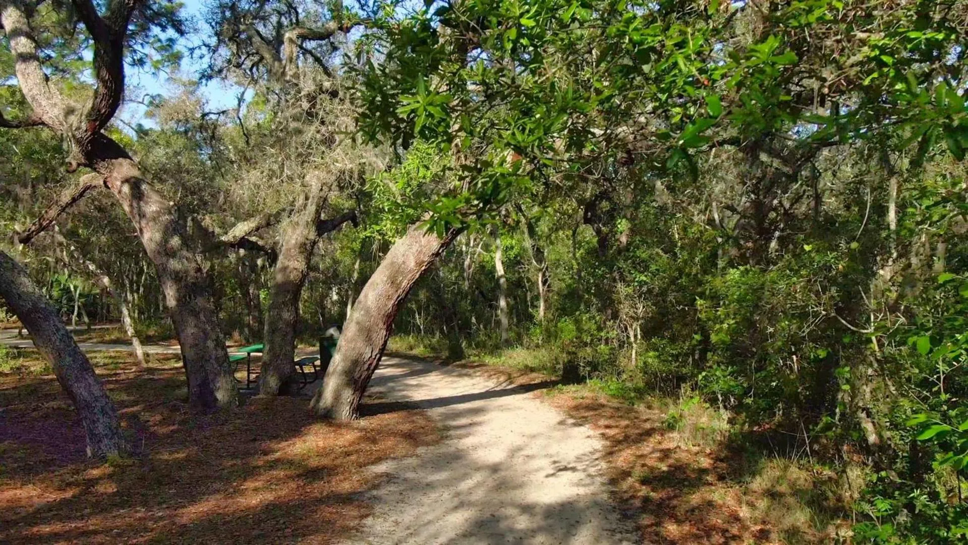 Natural landscape in 8569 Crystal Cove