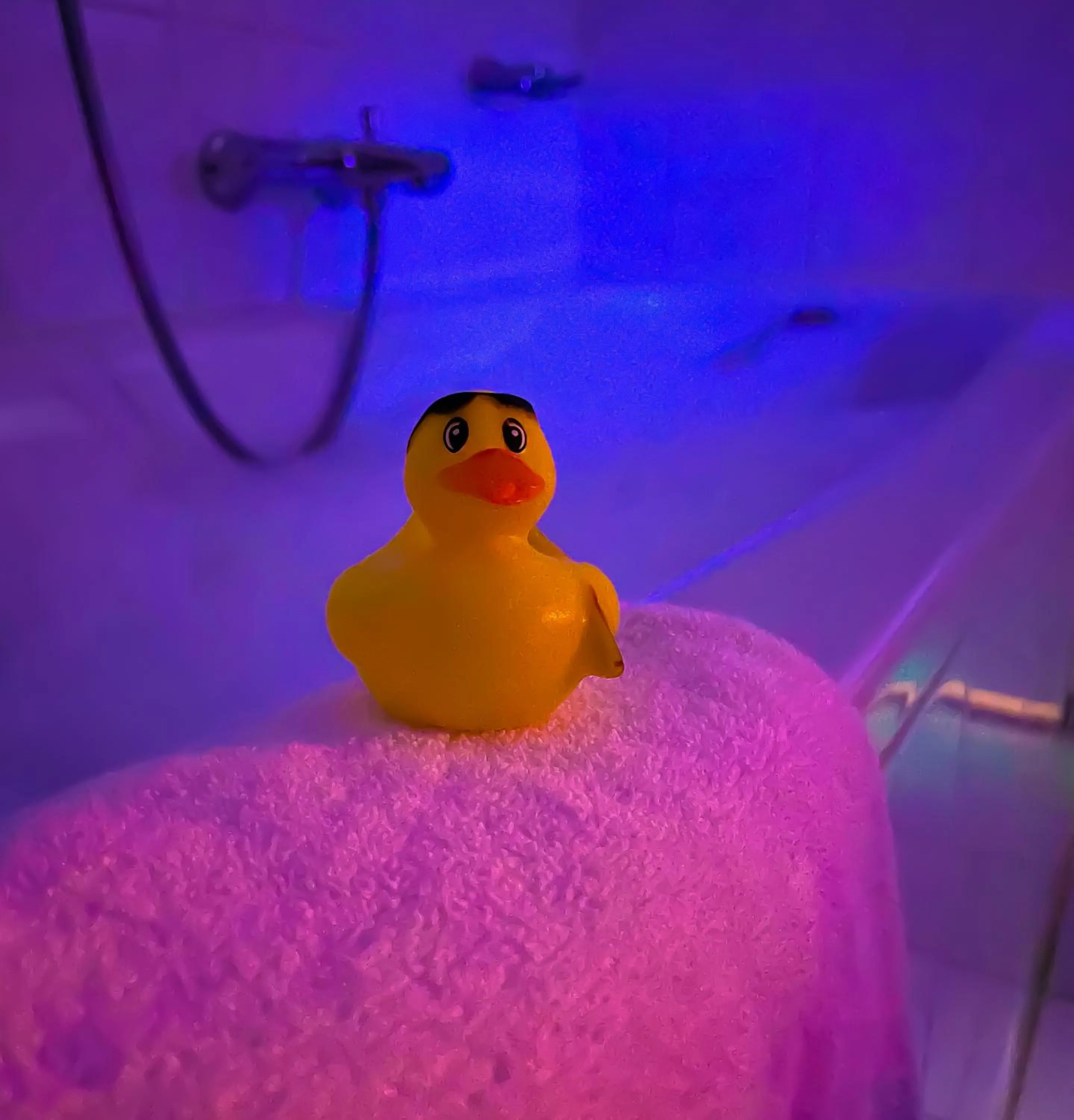 Bathroom in Hotel ReeHorst