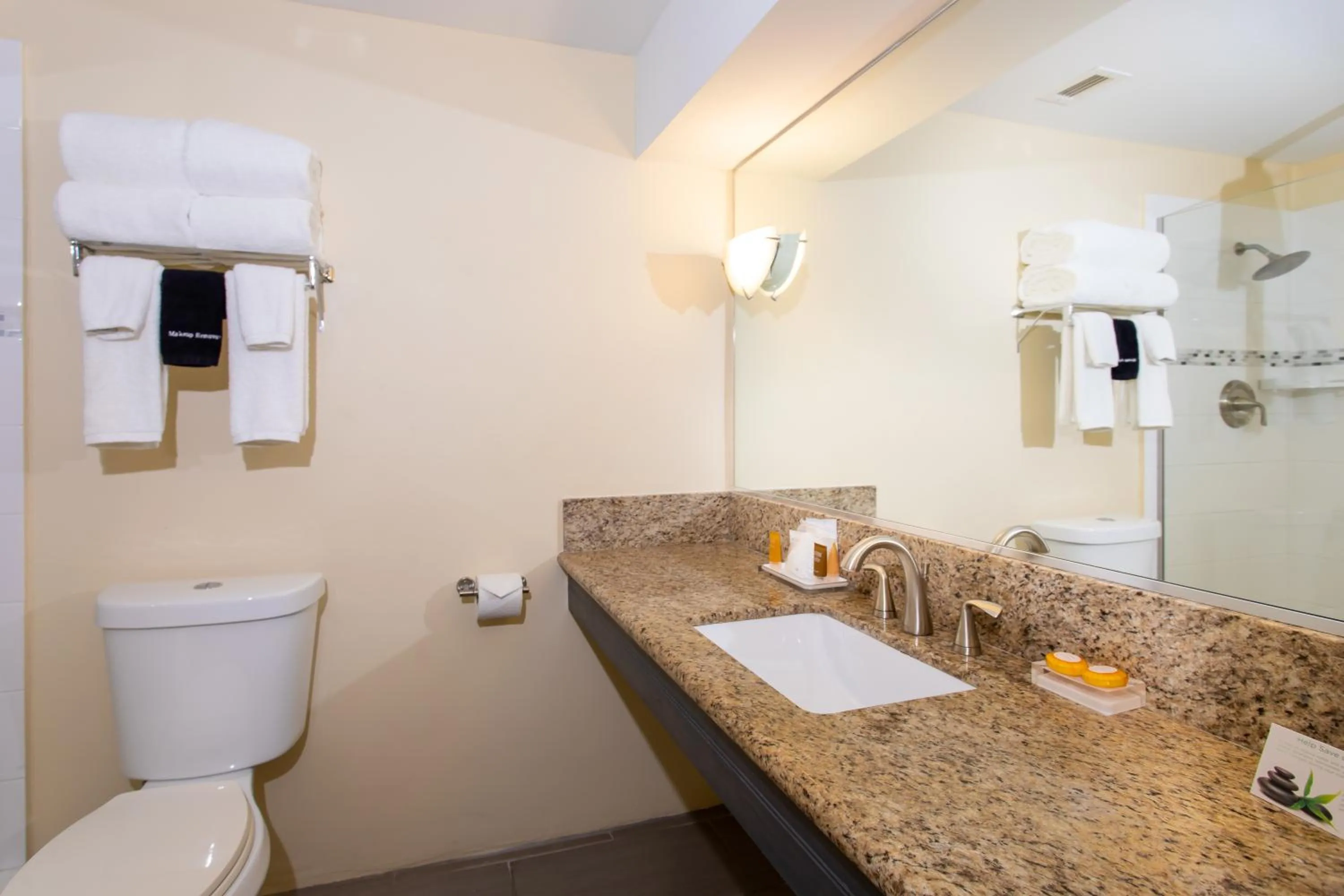 Toilet in Caravelle Hotel St Croix