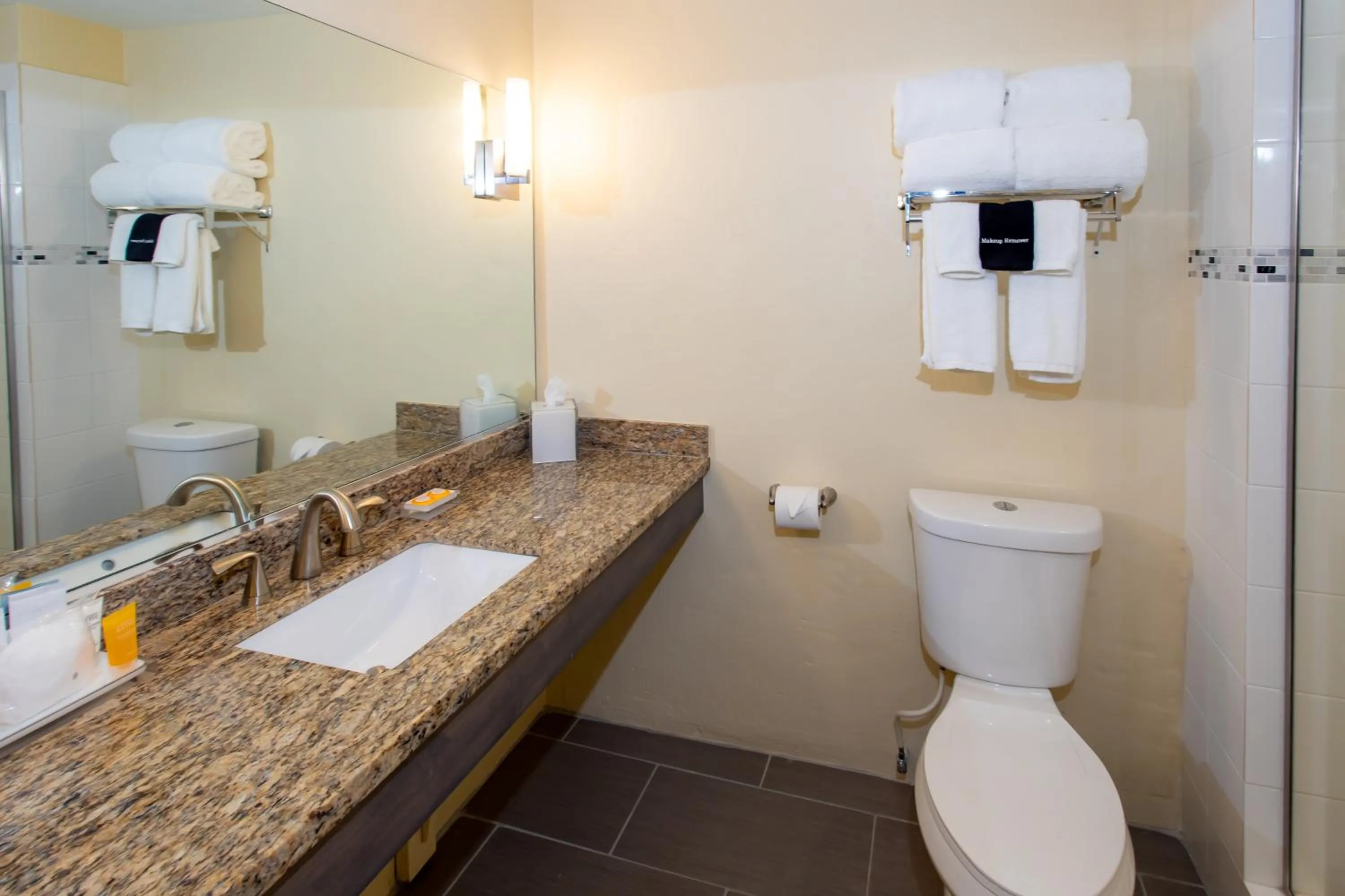 Toilet in Caravelle Hotel St Croix