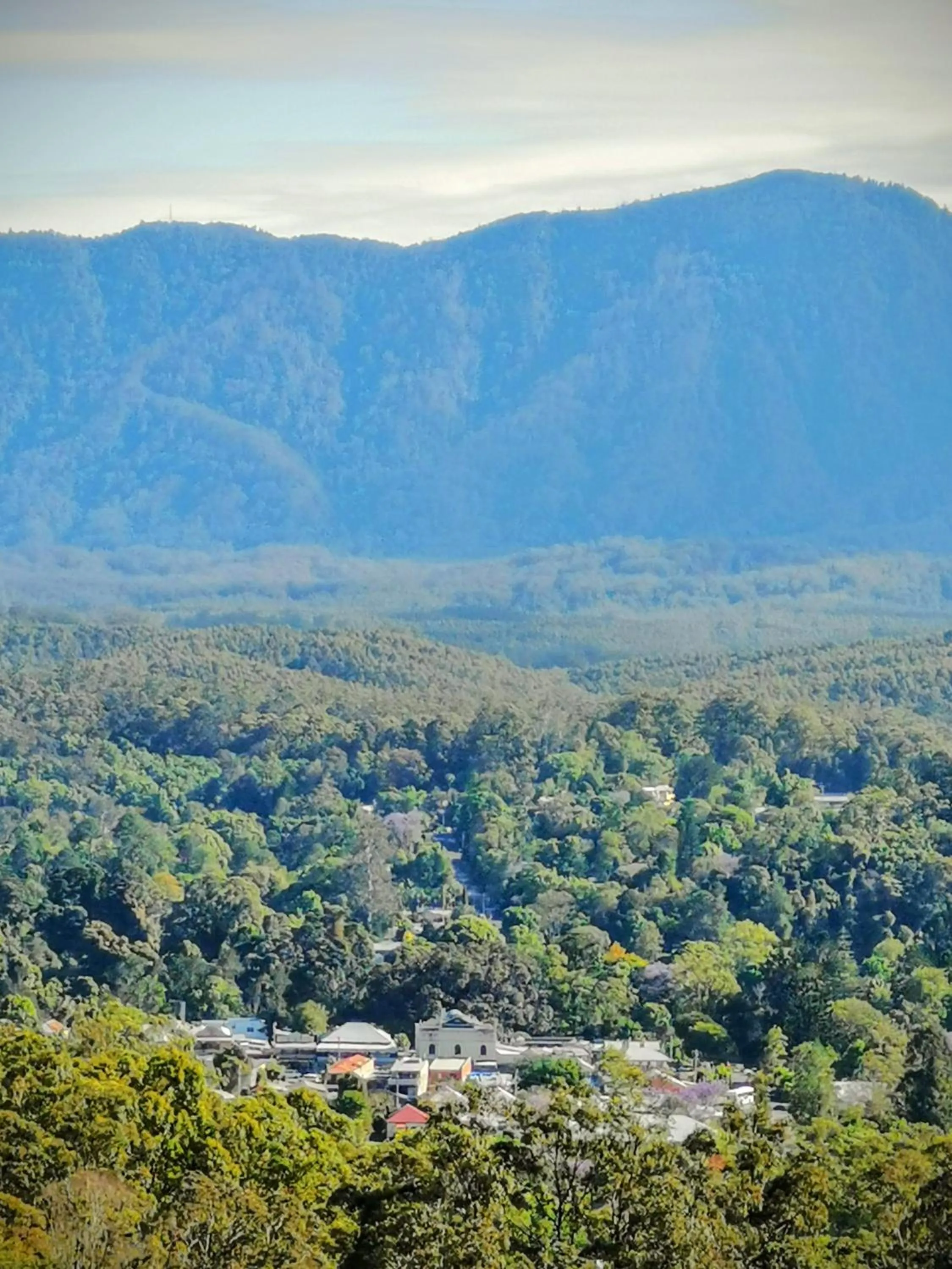 Natural landscape in Bellingen Belfry Guesthouse