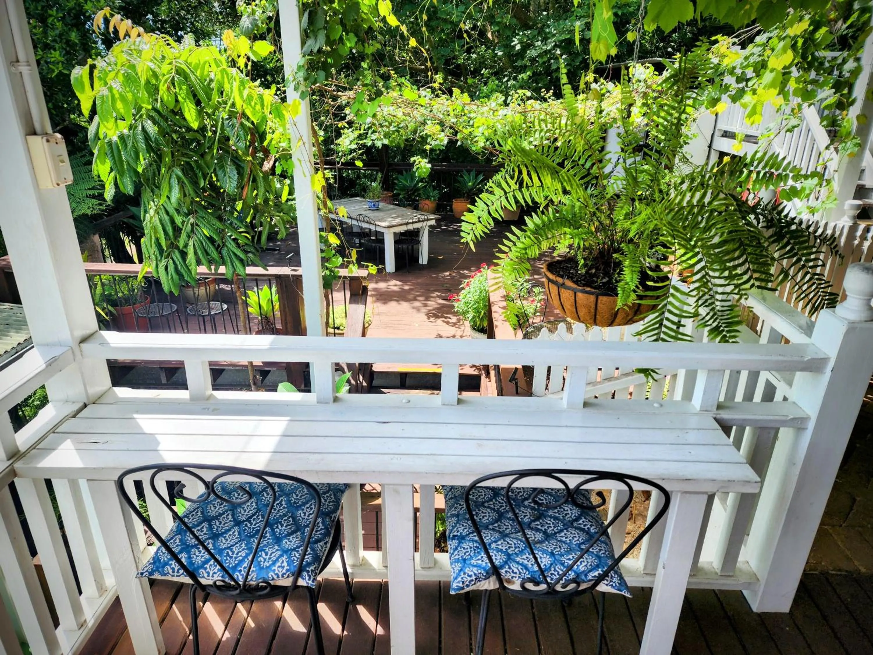 Breakfast in Bellingen Belfry Guesthouse