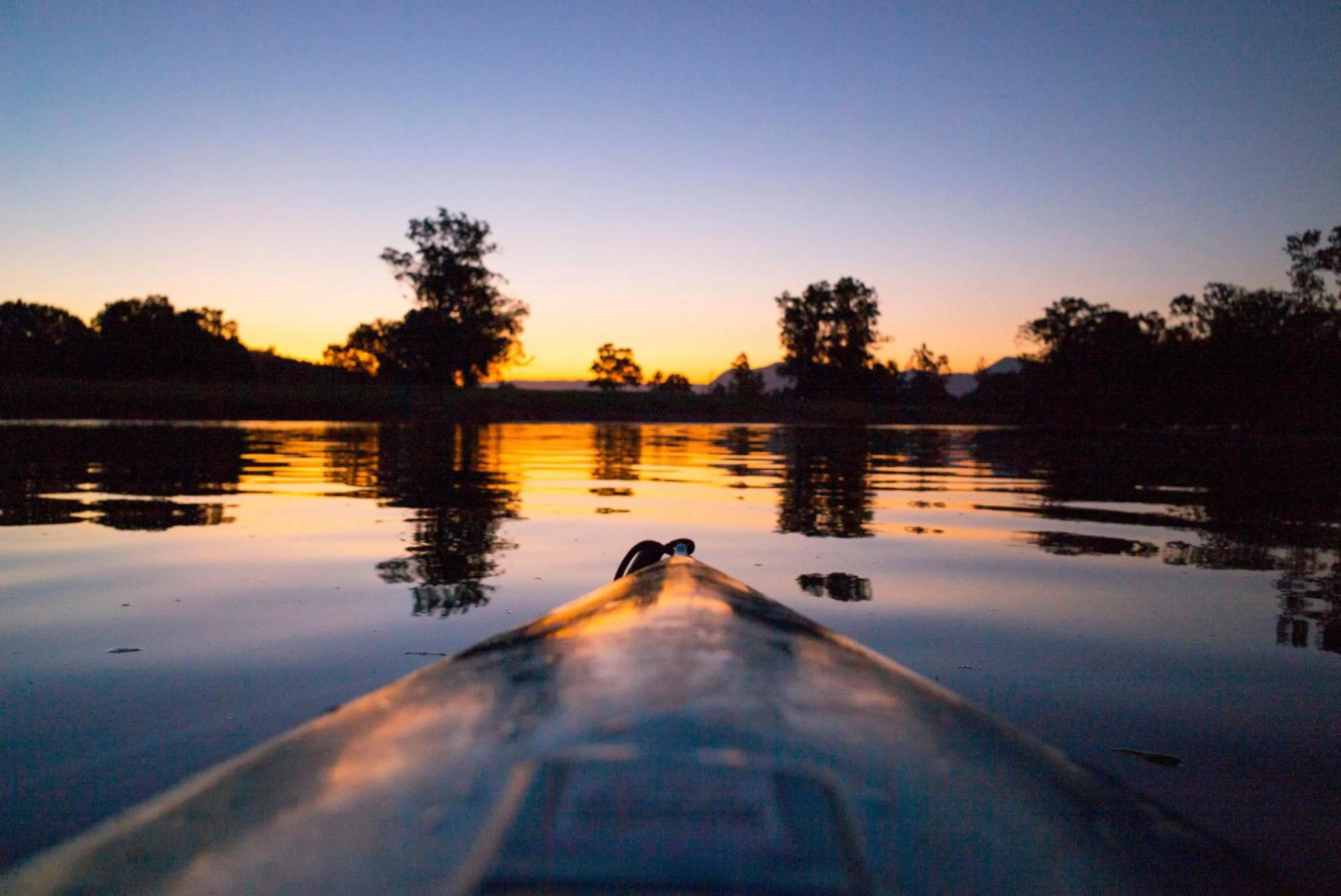 Natural landscape in Bellingen Belfry Guesthouse