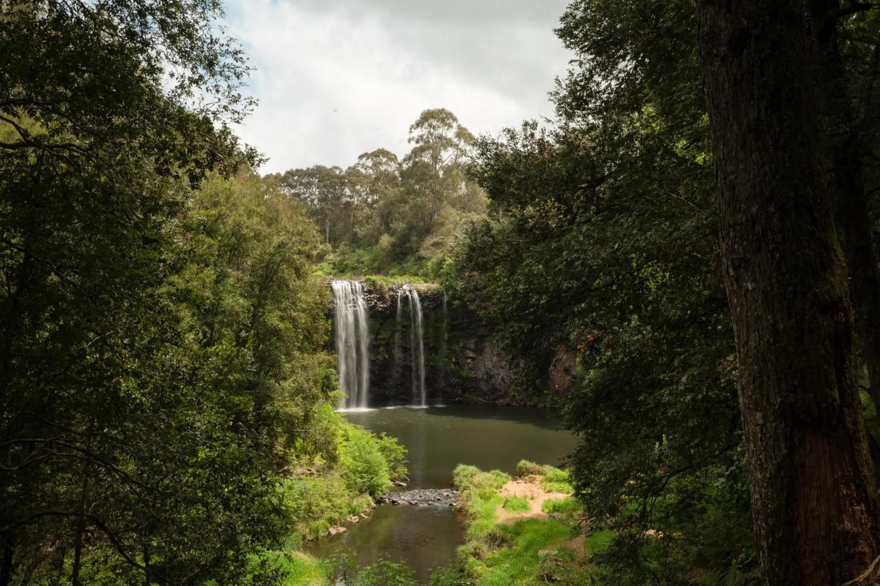 Hiking in Bellingen Belfry Guesthouse