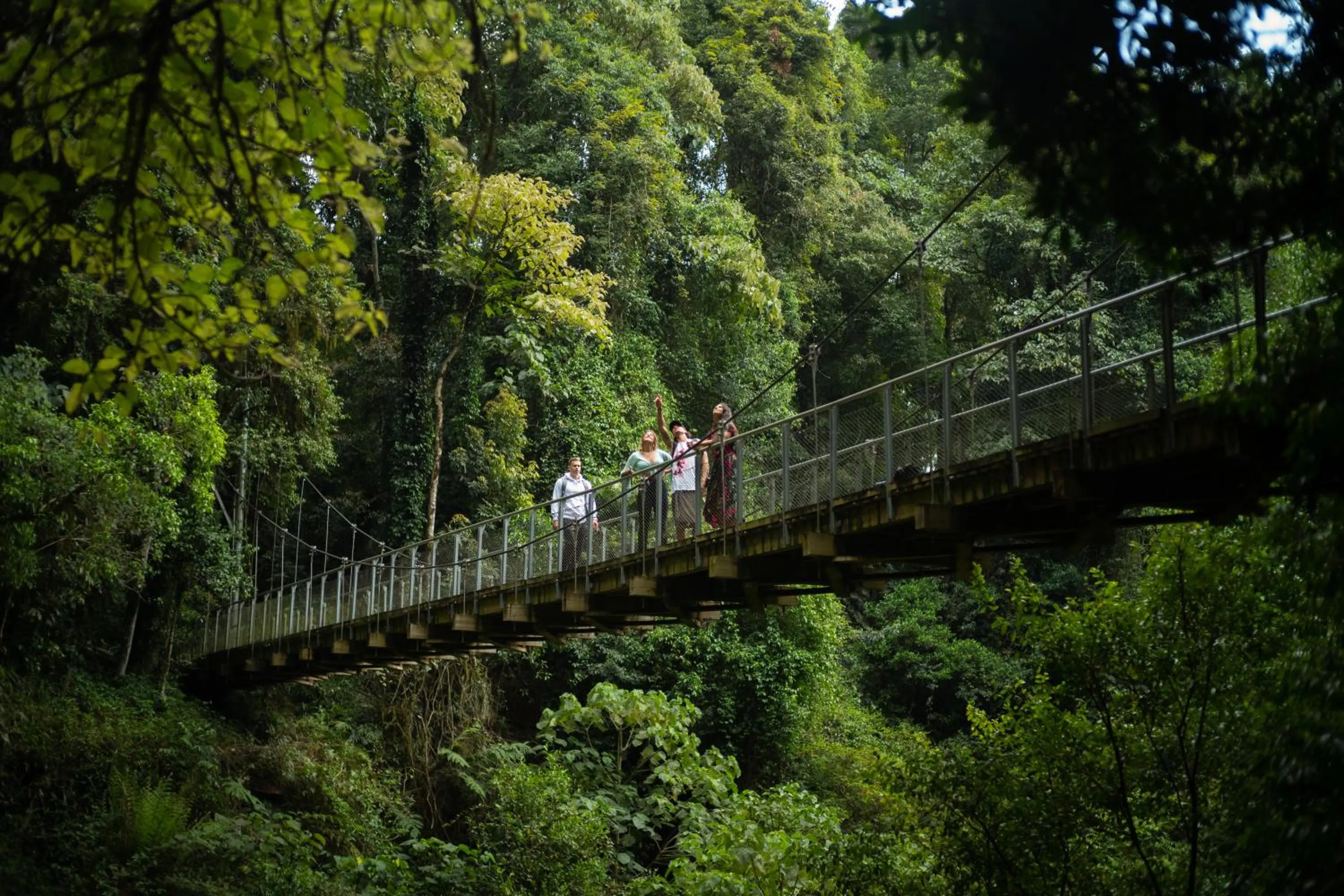 Natural landscape in Bellingen Belfry Guesthouse