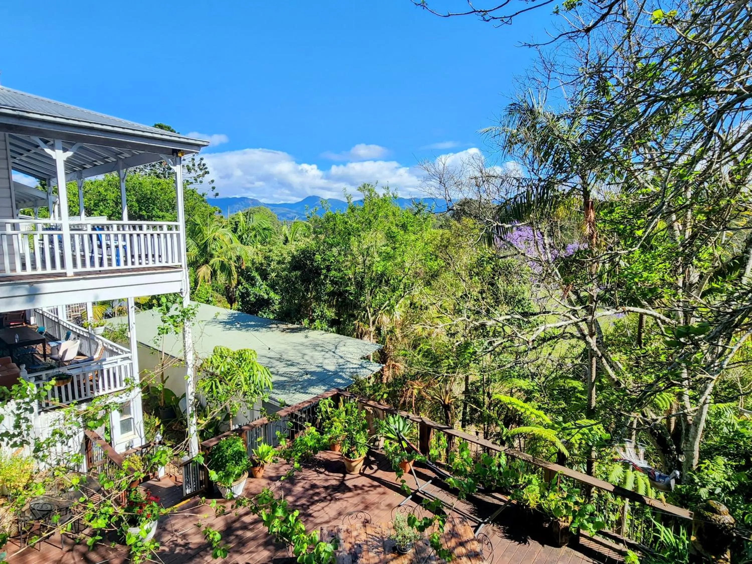 View (from property/room) in Bellingen Belfry Guesthouse