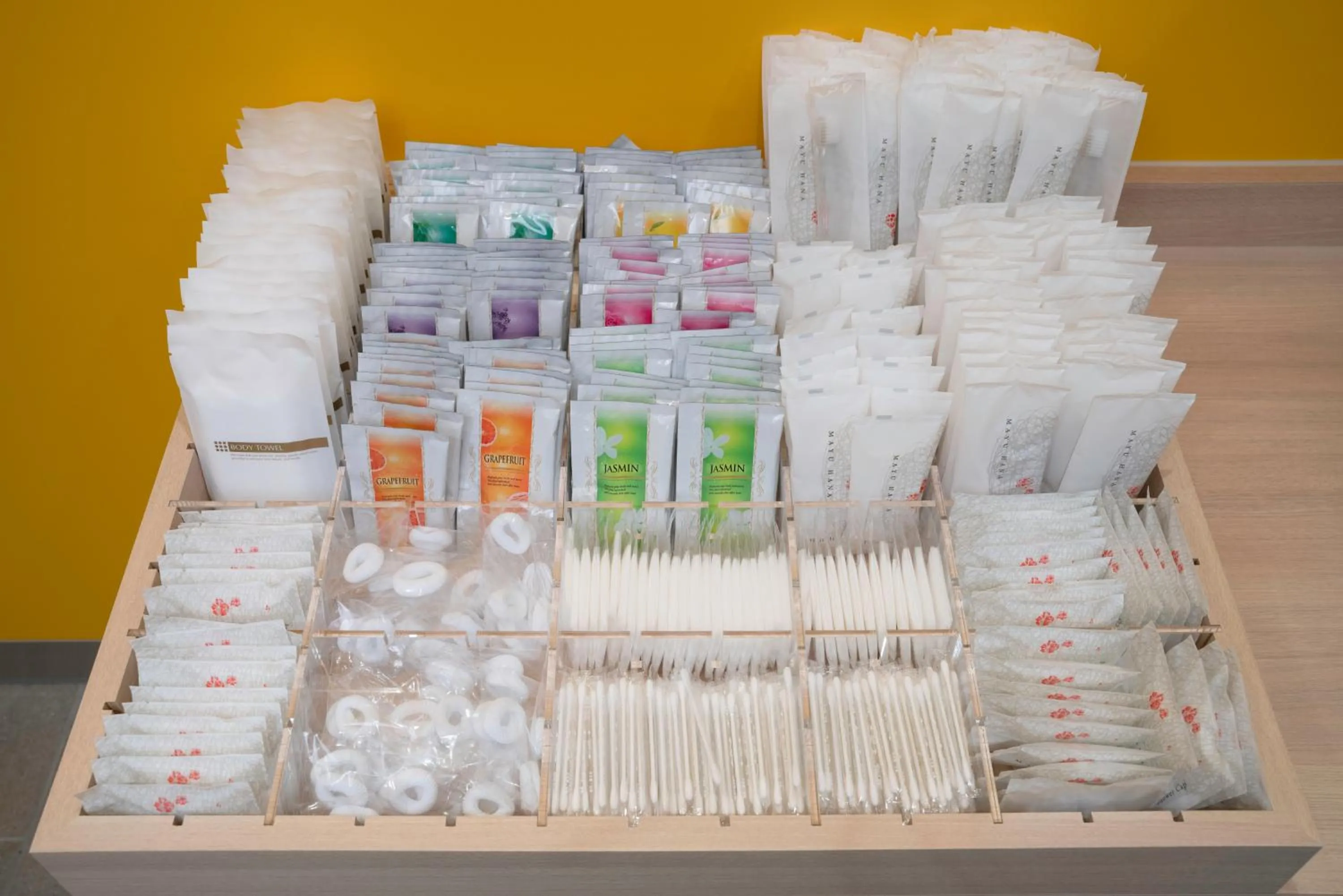 Area and facilities in Hop Inn Tokyo Asakusa