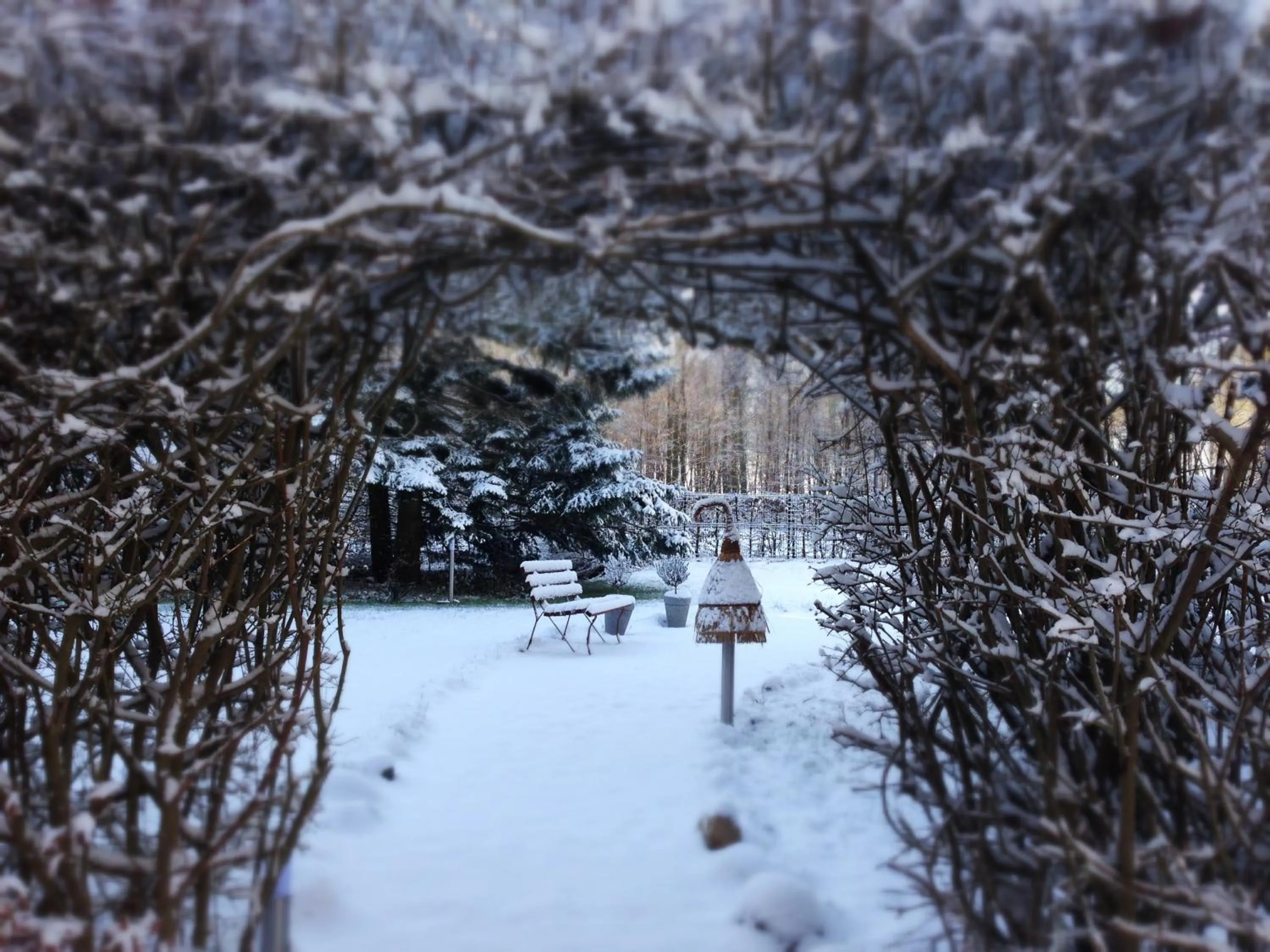 Winter in Lodge Seaside Boutique Hotel